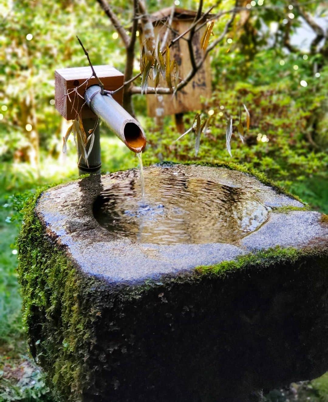 市川笑野のグルメインスタ