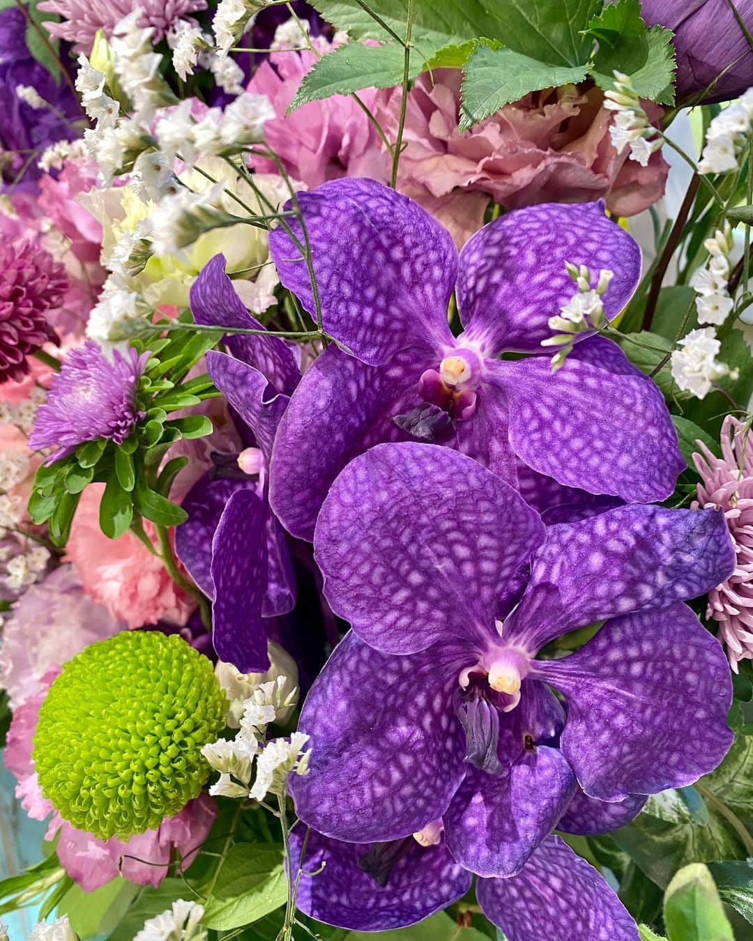 福岡放送「バリはやッ!」さんのインスタグラム写真 - (福岡放送「バリはやッ!」Instagram)「💐6/8の週のスタジオ装花💐 "暑い日中でも、雨の日でも、涼しげで微笑ましい紫陽花。紫陽花のような色彩の花々で、制作しました"  by #takeshithemangrove  THE MANGROVE  #ナナカマド #バンダ #ユウギリソウ #紫陽花 #ピンポンマム #スターチス  #花のある暮らし #花が好きな人と繋がりたい #花を飾る #花を楽しむ #フラワーアレンジメント　#スタジオ装花　#梅雨の花　#梅雨の花のイメージ #紫陽花の季節 #紫陽花の花 #梅雨アレンジメント #バリはや　#財津ひろみ　#蒸し暑さを吹き飛ばせ」6月11日 7時08分 - barihaya