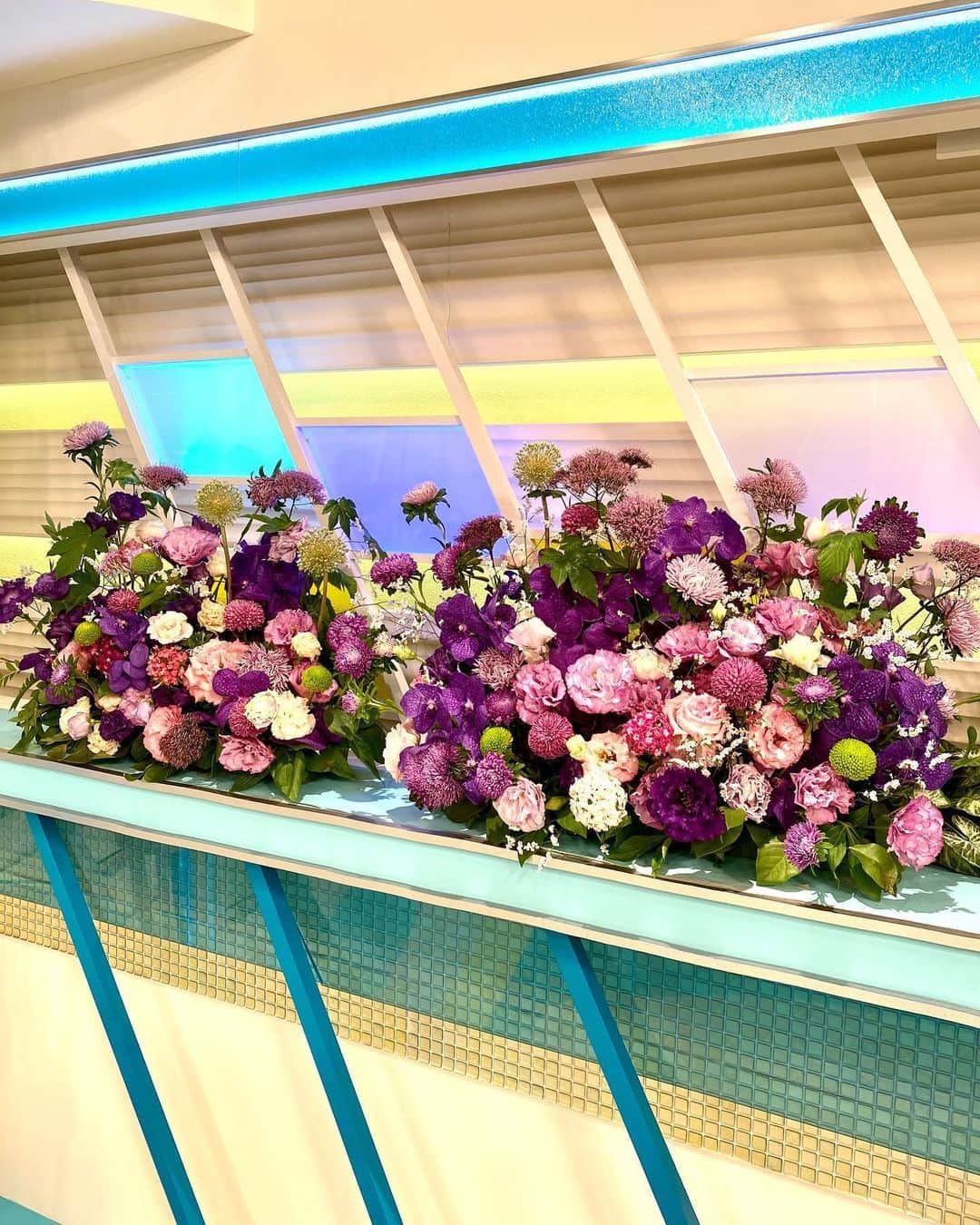 福岡放送「バリはやッ!」さんのインスタグラム写真 - (福岡放送「バリはやッ!」Instagram)「💐6/8の週のスタジオ装花💐 "暑い日中でも、雨の日でも、涼しげで微笑ましい紫陽花。紫陽花のような色彩の花々で、制作しました"  by #takeshithemangrove  THE MANGROVE  #ナナカマド #バンダ #ユウギリソウ #紫陽花 #ピンポンマム #スターチス  #花のある暮らし #花が好きな人と繋がりたい #花を飾る #花を楽しむ #フラワーアレンジメント　#スタジオ装花　#梅雨の花　#梅雨の花のイメージ #紫陽花の季節 #紫陽花の花 #梅雨アレンジメント #バリはや　#財津ひろみ　#蒸し暑さを吹き飛ばせ」6月11日 7時08分 - barihaya