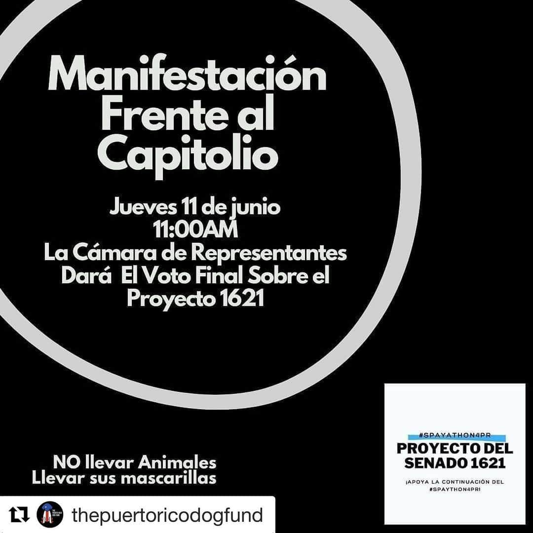 ロゼリン・サンチェスさんのインスタグラム写真 - (ロゼリン・サンチェスInstagram)「#Repost @thepuertoricodogfund with @get_repost ・・・ Mañana Jueves al frente del capitolios! Vamos!」6月11日 7時59分 - roselyn_sanchez