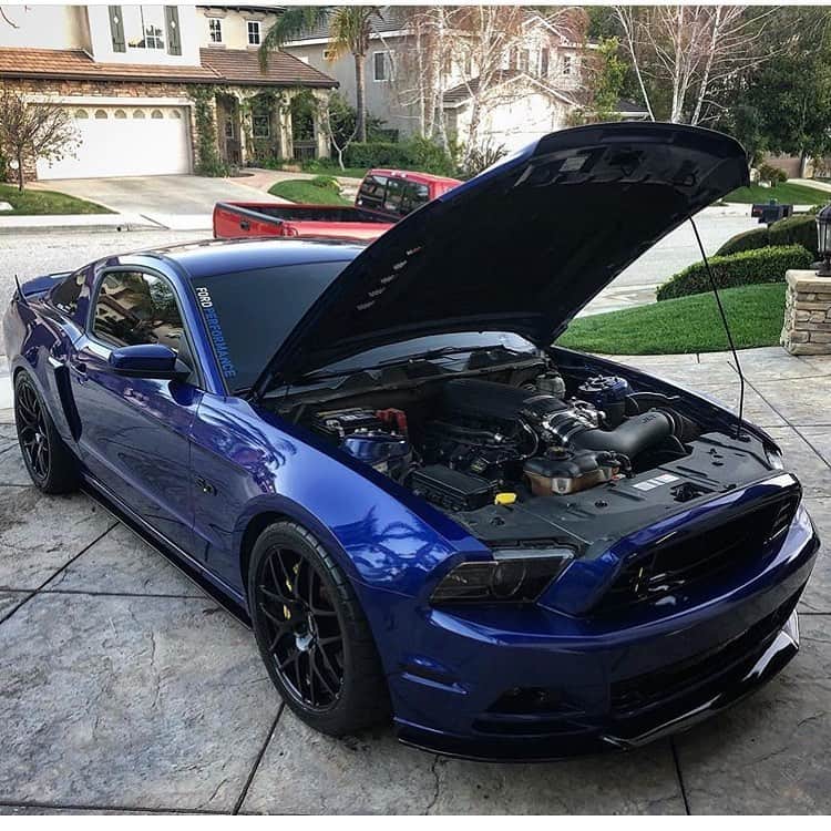 Amazing Carsさんのインスタグラム写真 - (Amazing CarsInstagram)「Mean 5.0😈  Photo via: @2sick5oh  Second page: @M85Media  Other page: @StancedAutohaus  #Ford #Mustang #GT #AmazingCars247」6月11日 10時18分 - amazingcars247
