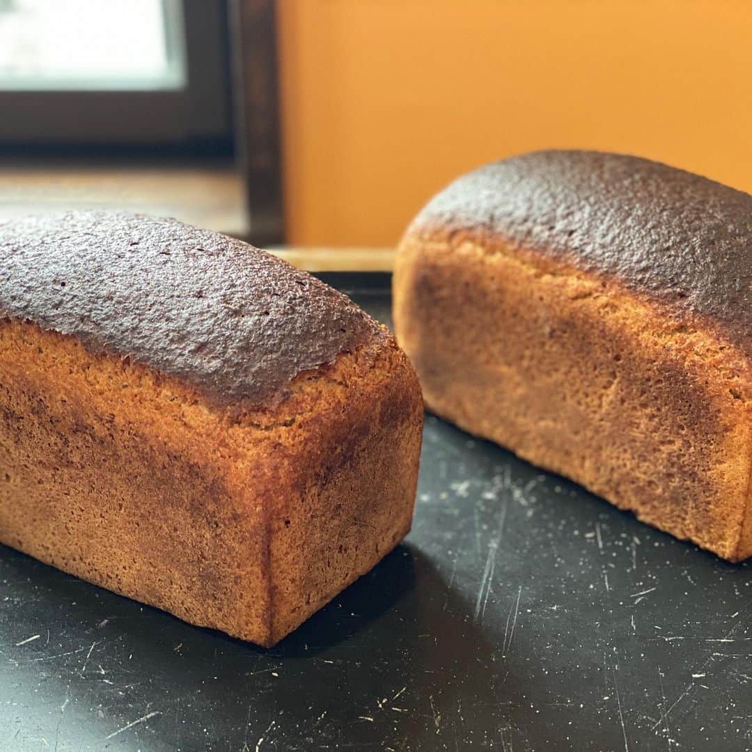 魔女菅原のグルメインスタ