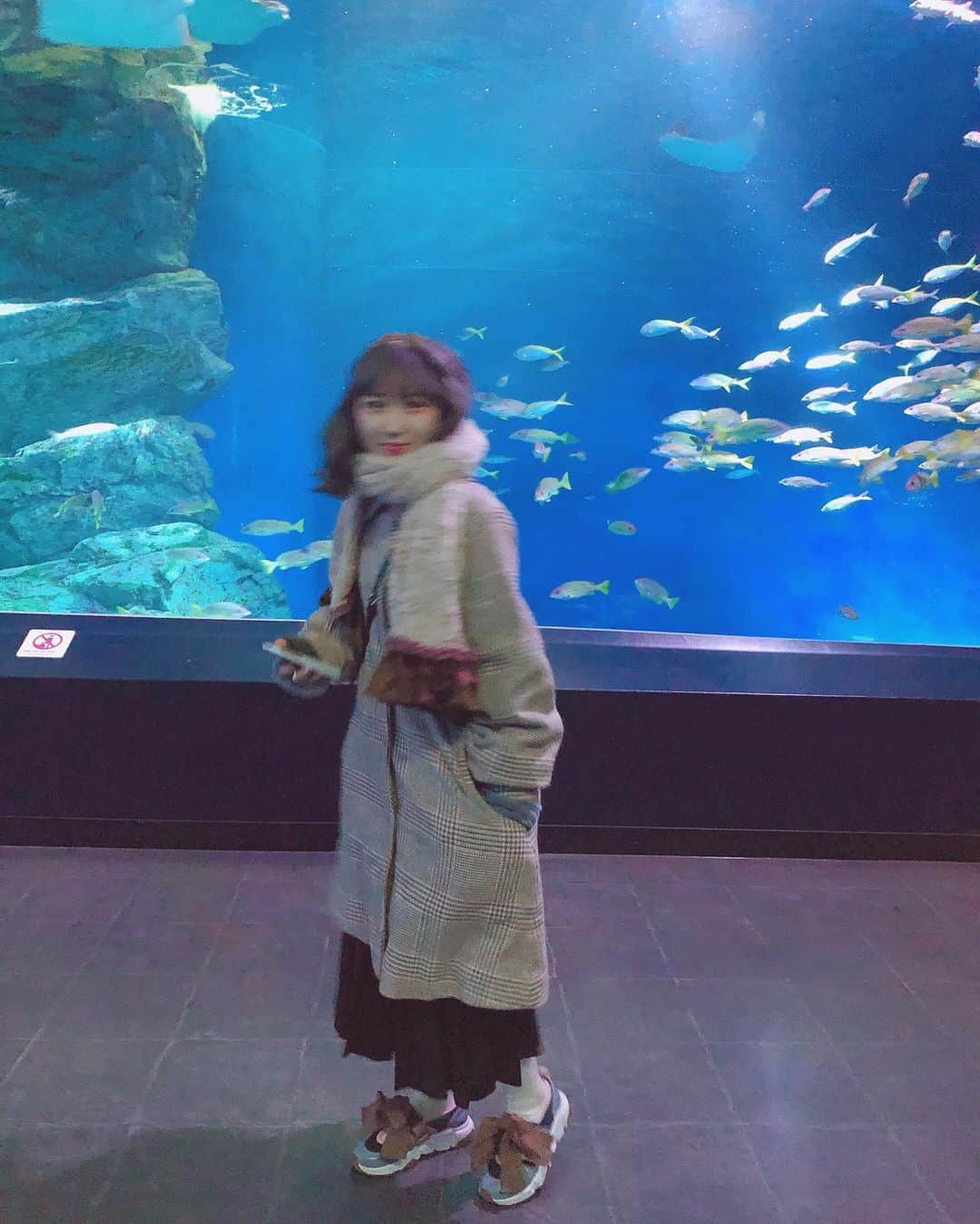 火寺バジル（魔法少女になり隊）さんのインスタグラム写真 - (火寺バジル（魔法少女になり隊）Instagram)「とても水族館に行きたい🐠 ペンギンもクラゲもあざらしも上手く撮れた🐧 . . . . #水族館　#aquarium #photo #seaanimals #海の生き物　#クラゲ　#ペンギン　#あざらし」6月11日 22時31分 - kazi_baziru