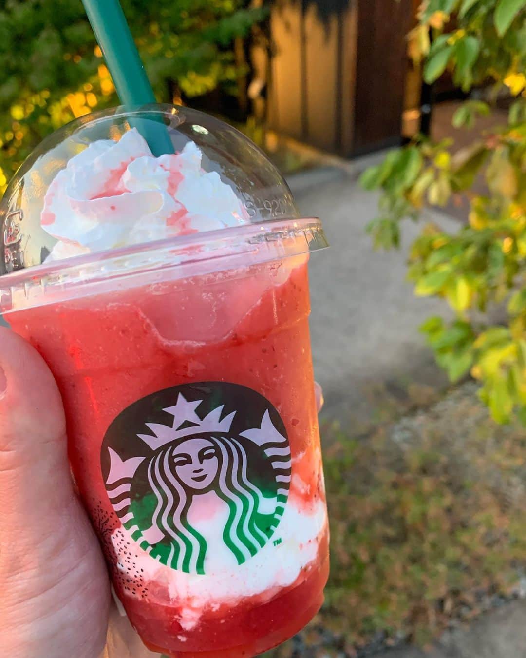 のインスタグラム：「いちご×スタバ うん、おいしい😋 シュワシュワの方も好き❣️ 梅雨入りですね☂️ お身体お大事に過ごしてくださいな🙂  #いちご#スタバ#🍓#😍」