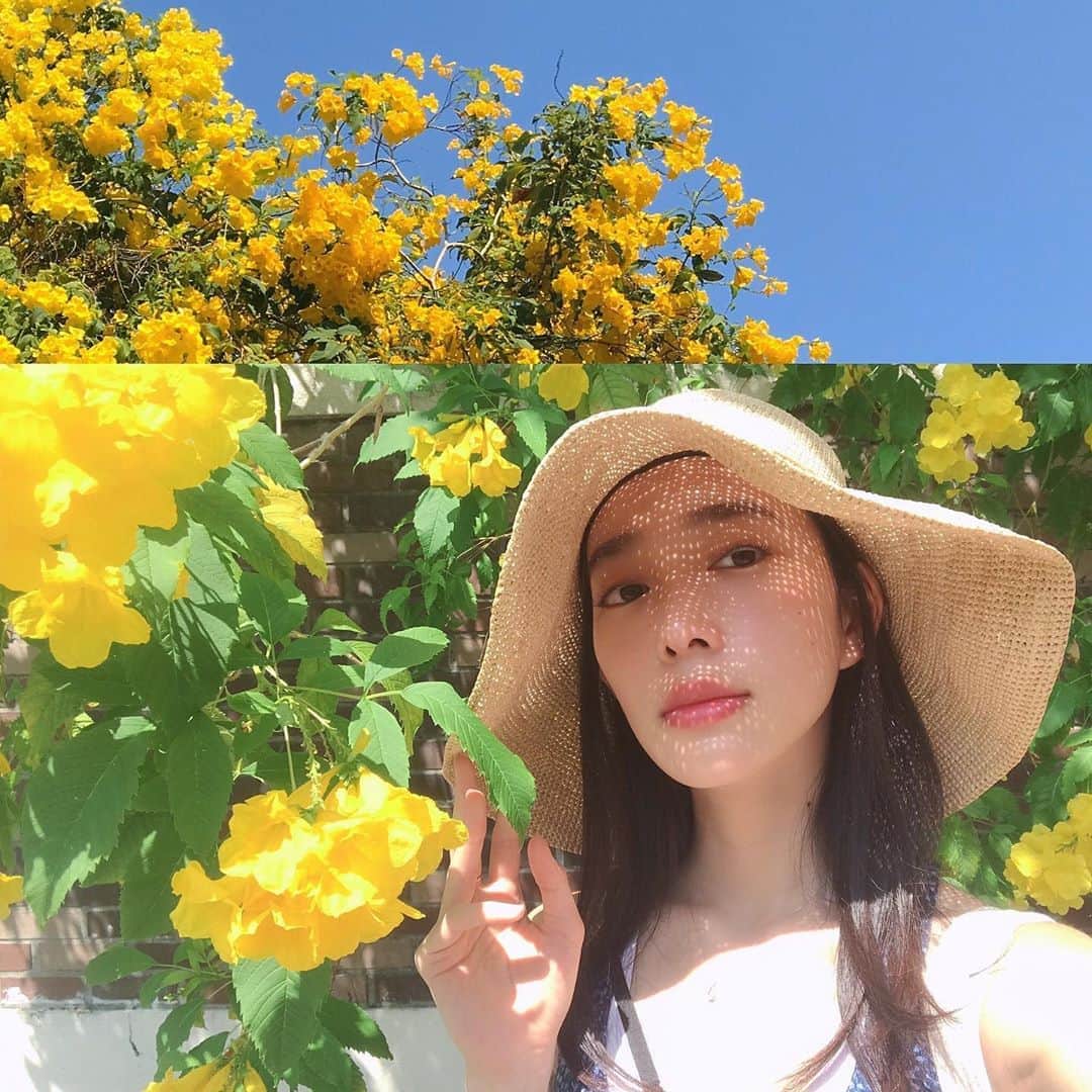 のインスタグラム：「アップ多めでも良いのでしょうか...?笑  去年のシンガポール🇸🇬とことこ1人散歩してた時🚶‍♀️全然1人でどこでも行けちゃう人です。  #tbt #stayhome #trip #singapore」