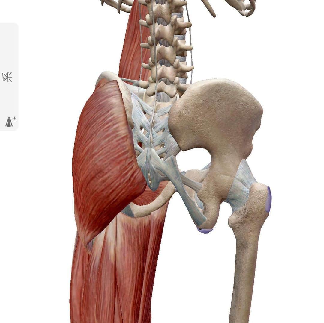 大山大輔さんのインスタグラム写真 - (大山大輔Instagram)「【Mobility Flows】 . "Pigeon Twist Reach" ⬇️ 説明 <対象筋> 『腸腰筋、大臀筋、外腹斜筋、内腹斜筋、肋間筋』 ---------------------------------- Hand Stand Plankの状態から片足を前に曲げて、Pigeonポーズを取ります。身体を捻りながら、出した足と逆の手を斜め前に伸ばします。(動画参照) ---------------------------------- ＊股関節が固く、可動性を高めたい方 ＊上半身のトレーニング効率を高めたい方 ＊上半身と下半身の滑らかな動きを実現したい方 ＊全身の連動性を向上させたい方 . . #股関節ストレッチ #体側伸ばし #運動能力向上 #身体調整 #ヨガ #ピラティス #カイロプラクティック #運動不足解消 #mobilitytraining #mobilityflows #フィットネス #fitness #健康 #腰痛改善 #腰痛ストレッチ #猫背改善 #姿勢改善 #姿勢改善トレーニング #柔軟性 #柔軟性向上 #可動性向上エクササイズ #見た目重視 #機能性重視 #カッコいい身体作り #動ける身体作り」6月11日 21時56分 - weggy_fitness0704