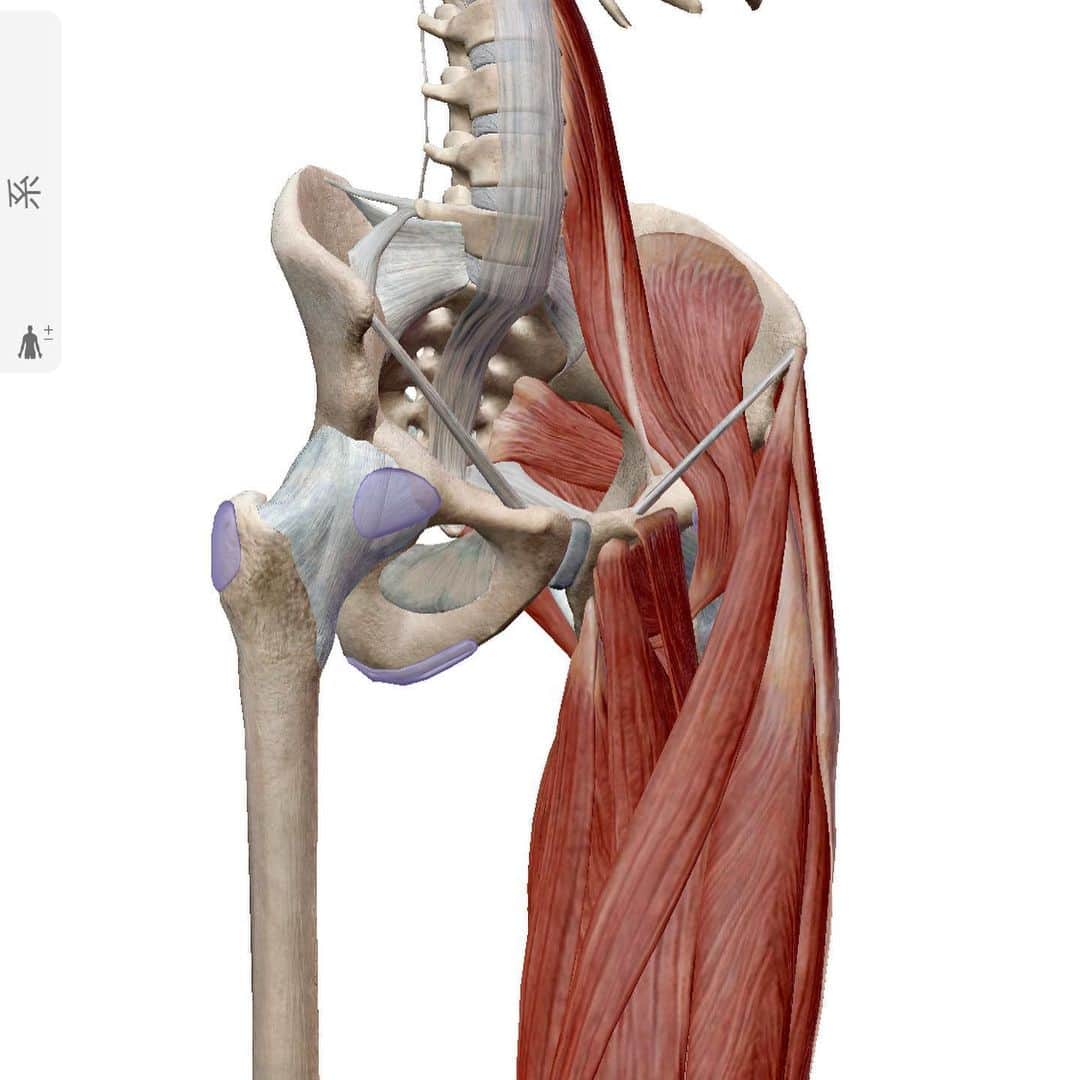 大山大輔さんのインスタグラム写真 - (大山大輔Instagram)「【Mobility Flows】 . "Pigeon Twist Reach" ⬇️ 説明 <対象筋> 『腸腰筋、大臀筋、外腹斜筋、内腹斜筋、肋間筋』 ---------------------------------- Hand Stand Plankの状態から片足を前に曲げて、Pigeonポーズを取ります。身体を捻りながら、出した足と逆の手を斜め前に伸ばします。(動画参照) ---------------------------------- ＊股関節が固く、可動性を高めたい方 ＊上半身のトレーニング効率を高めたい方 ＊上半身と下半身の滑らかな動きを実現したい方 ＊全身の連動性を向上させたい方 . . #股関節ストレッチ #体側伸ばし #運動能力向上 #身体調整 #ヨガ #ピラティス #カイロプラクティック #運動不足解消 #mobilitytraining #mobilityflows #フィットネス #fitness #健康 #腰痛改善 #腰痛ストレッチ #猫背改善 #姿勢改善 #姿勢改善トレーニング #柔軟性 #柔軟性向上 #可動性向上エクササイズ #見た目重視 #機能性重視 #カッコいい身体作り #動ける身体作り」6月11日 21時56分 - weggy_fitness0704