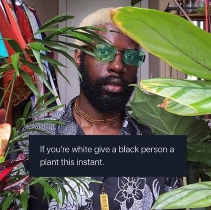 Dazed Magazineさんのインスタグラム写真 - (Dazed MagazineInstagram)「🌱 📥 SEND PLANT REPARATIONS 🌱 📥⁠ ⁠ @djfreedem’s @undergroundplant.trade is the grassroots plant exchange where white people send Black people plants as an immediate way to “bring some physical positivity and change into people’s homes.”⁠ ⁠ Tap the link in bio to read more about the #Dazed100-ers new initiative 📲⁠ ⁠」6月11日 22時05分 - dazed