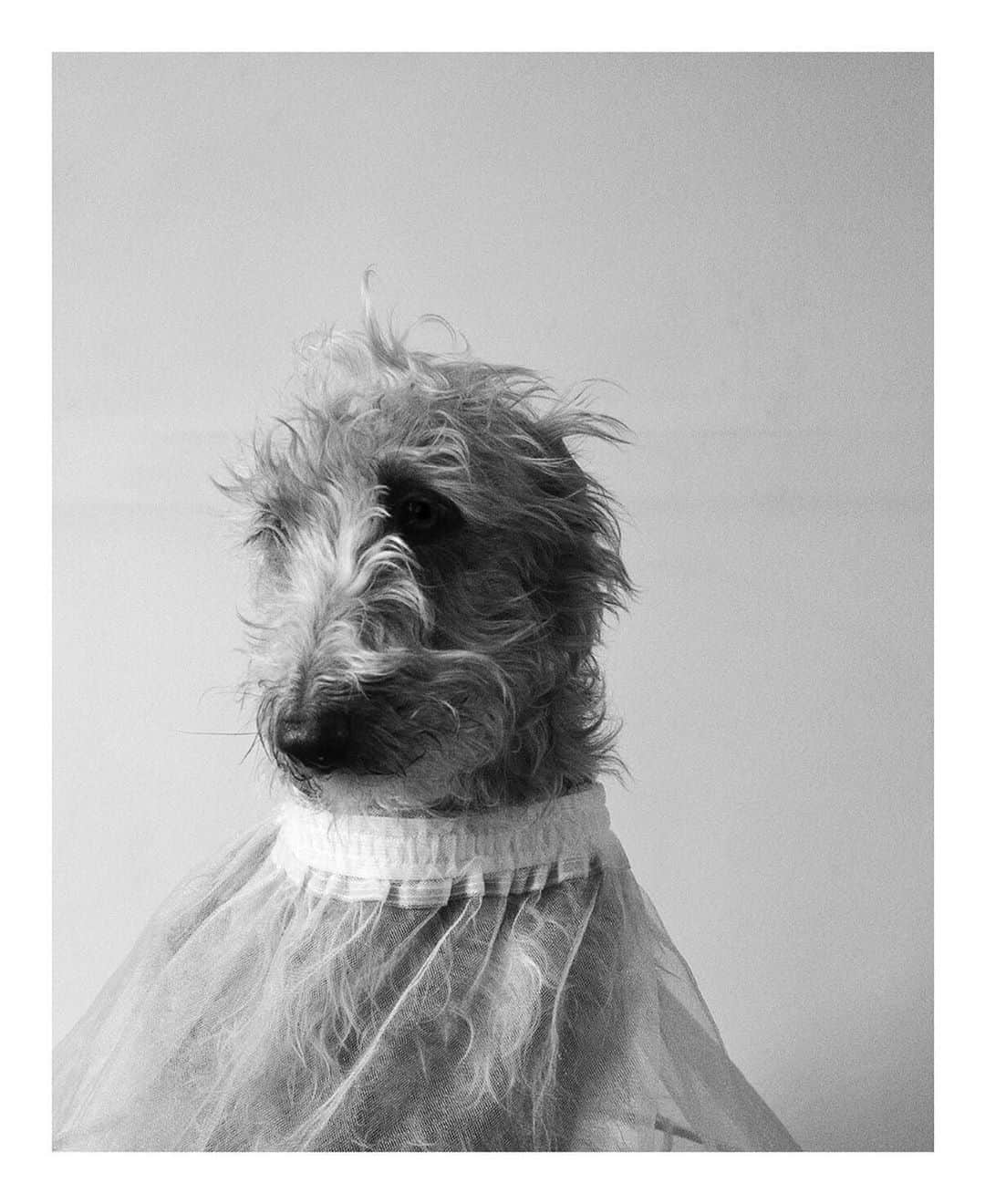 のインスタグラム：「🖤♦️🖤♦️🖤 jackdavison」