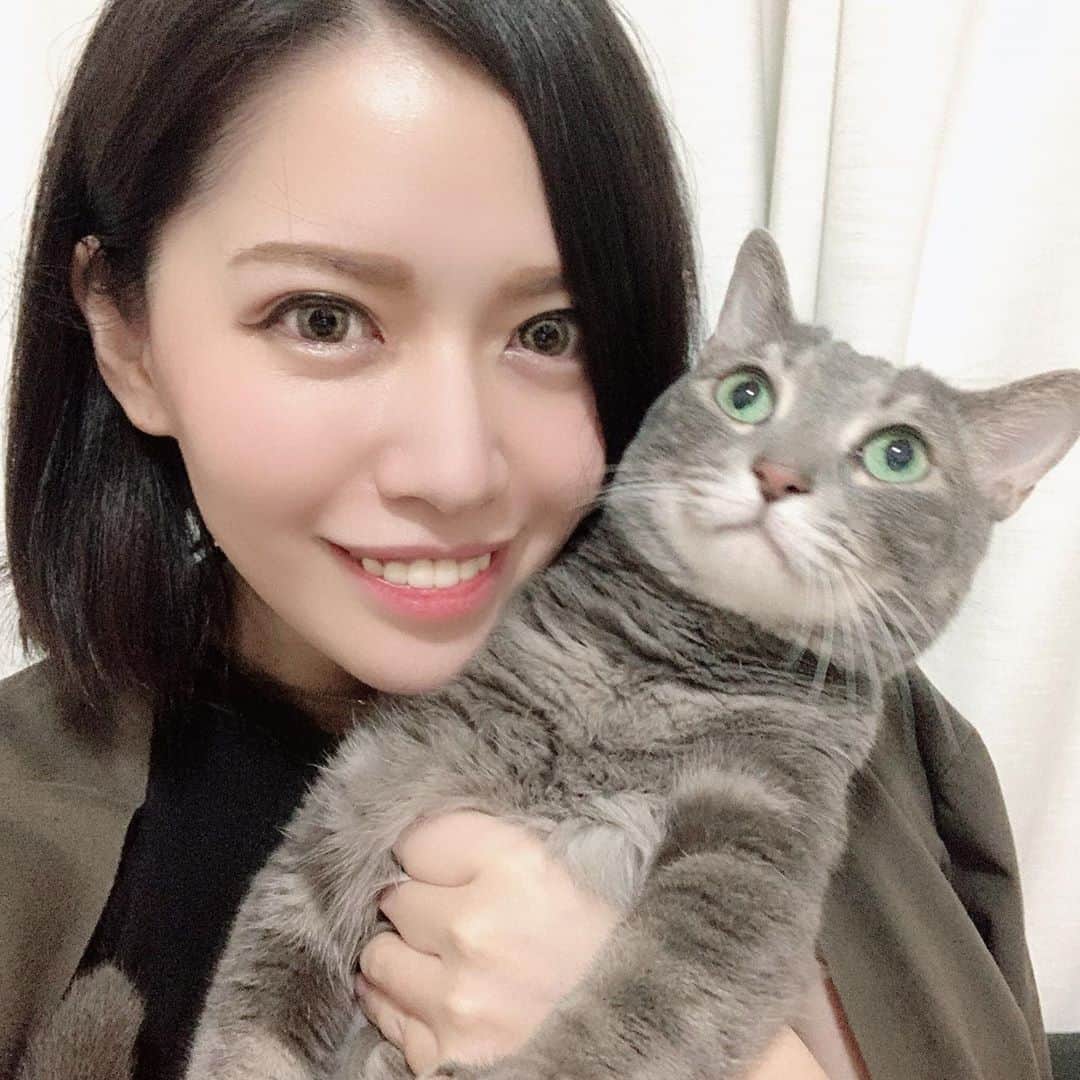 のインスタグラム：「ちょっと！何その顔！笑 #猫のいる暮らし #猫 #それまでずっと可愛かった #シャッターの瞬間この顔 #わかってやっている説 #むーさん」
