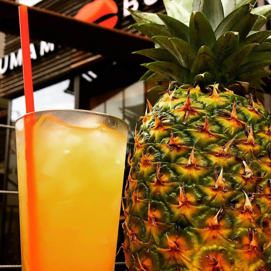 umamiburgerjpnさんのインスタグラム写真 - (umamiburgerjpnInstagram)「. 新メニューになってから登場した 🍍パイナップルジュース🍍 が最近では人気No.1ドリンクです‼️ . 気温も高くなってきて夏といえば…☀️🌴 なんてテンションで頼みたくなるのかもしれませんね😆💕 . でもパイナップルジュース実はメリットも沢山あるんです👩‍🔬🔥 . フルーツならではのビタミンや酵素が豊富なのはもちろん、消化を促す効果もあるとのことです‼️‼️✨ お肉と食べ合わせするのが文化である国もあります💡 つまりウマミバーガー のような肉厚なお肉が挟まったバーガーを食べる際ももってこいなんです☺️👍✨ . また、夏バテ防止効果、美白効果なんてのも持ち合わせているので夏には最高のドリンクですね‼️ 100%パイナップルジュース、ぜひハンバーガーとご一緒にいかがですか？😆🍍💕 . . #ウマミバーガー  #umamiburger #umamiburgerjpn  #ウマミバーガー青山店 #ウマミバーガーみなとみらい店  #パイナップルジュース #疲労回復ドリンク #ビタミン #フルーツドリンク #パイナップル #夏バテ防止  #美容効果 #おすすめドリンク #ドリンクメニュー」6月11日 13時37分 - umamiburgerjpn