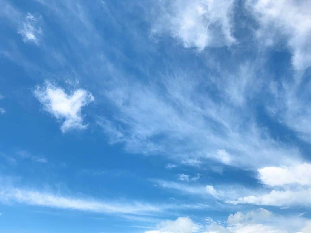 大湖せしるさんのインスタグラム写真 - (大湖せしるInstagram)「﻿ ﻿ こんなにええお天気やのに﻿ 午後からは雨予報。。﻿ ﻿ ついに梅雨入りかなぁ﻿ ﻿ しばらくこの青空とも﻿ お別れかもね﻿ ﻿ 白い雲が﻿ めちゃ綺麗﻿ ﻿ 雲の流れが速いから﻿ 同じ写真は二度と撮れへんけど﻿ その " 瞬間 " をおさめてる感じが﻿ またいいよね﻿ ﻿ ﻿#青空 #白い雲 #お天気 #梅雨入り直前 #傘との闘いが始まる #大雨にはお気をつけて」6月11日 13時45分 - cecile_daigo