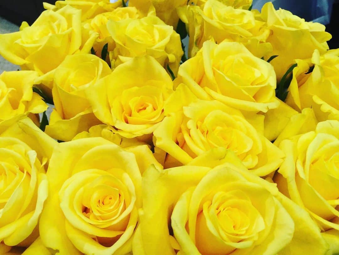 LATOV_ラトブ さんのインスタグラム写真 - (LATOV_ラトブ Instagram)「【1階 #フローリスト花磯】 ． #父の日ギフト 日頃の感謝を伝える #フラワーギフト 💐 . 相手を明るく、暖かい気持ちにしてくれる、黄色いバラやひまわりを贈りませんか。 ． ． 日本人の「サムライスピリット」に敬意を表して作られた赤いバラ #サムライ も家族をいつも守ってくれるお父さんにはぴったりです🌹 ． ご予約承っております🌼 フローリスト花磯 TEL:0246-35-1187 ． #ラトブ #いわき市 #いわき駅 #いわき市花屋 #黄色いバラ #ひまわり #花束 #フラワーアレンジメント #ギフト #父の日プレゼント #お父さんありがとう 💐」6月11日 14時17分 - latov_20071025