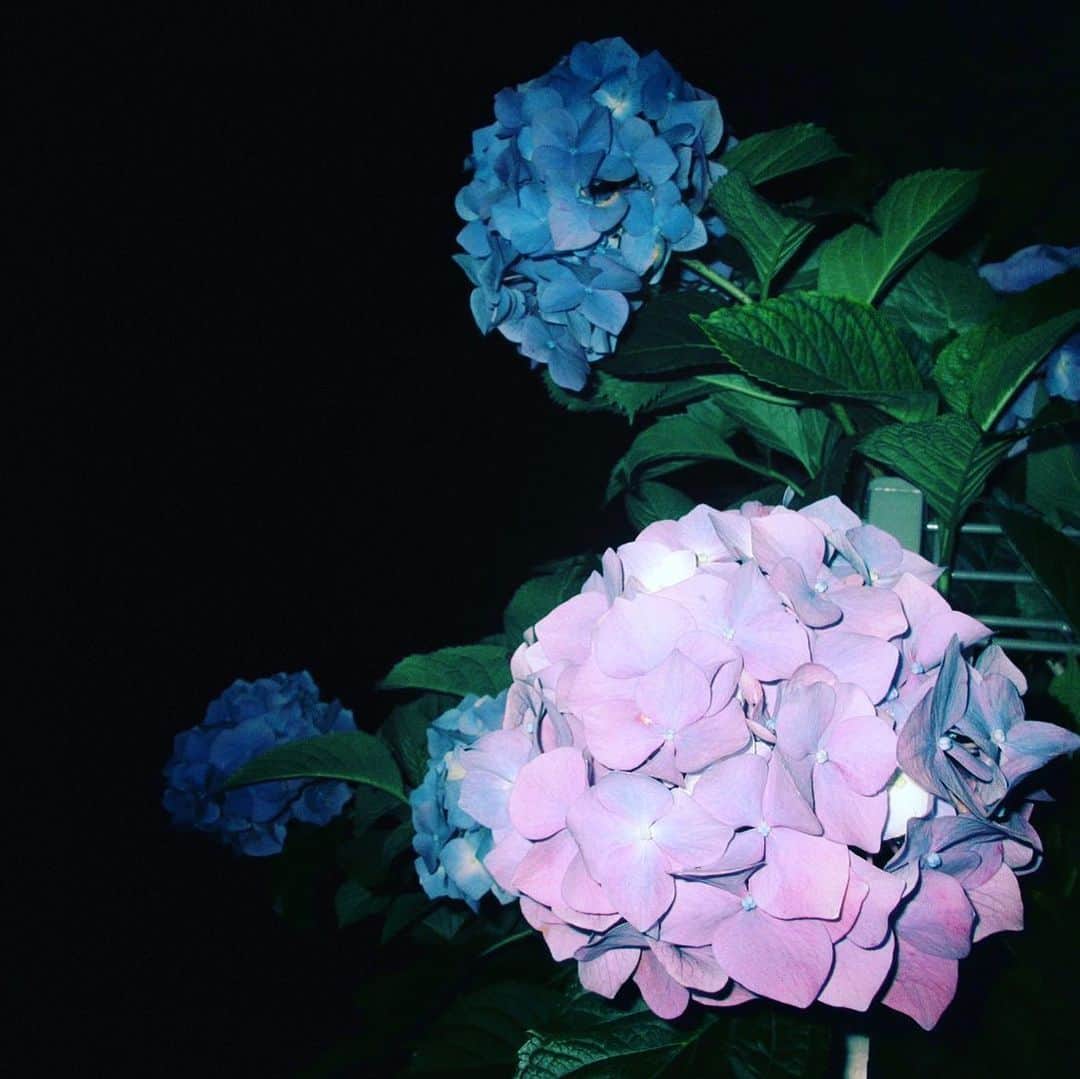 のインスタグラム：「🌧🌿」