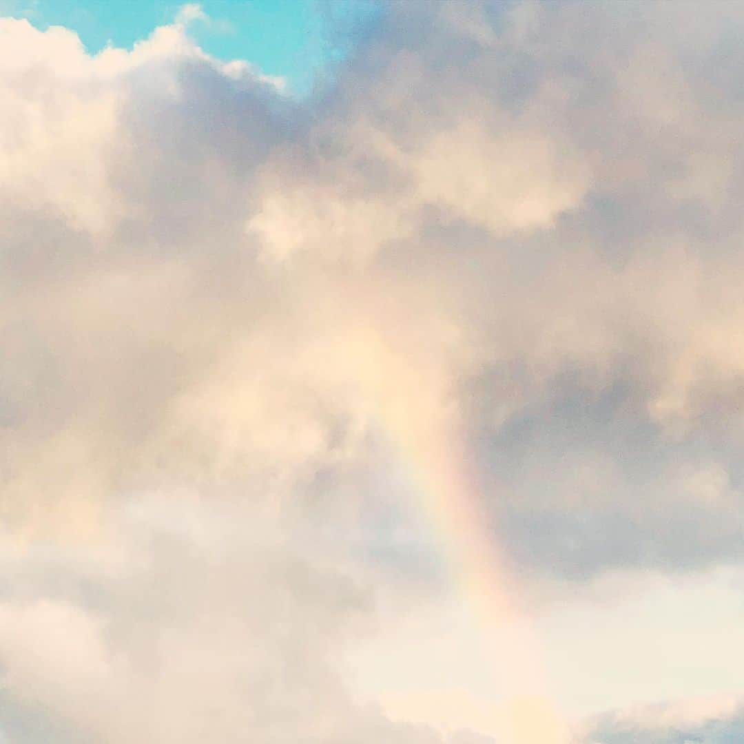 山崎美弥子さんのインスタグラム写真 - (山崎美弥子Instagram)「Day of Rainbow  虹の日。」6月11日 15時19分 - miyakoyamazaki