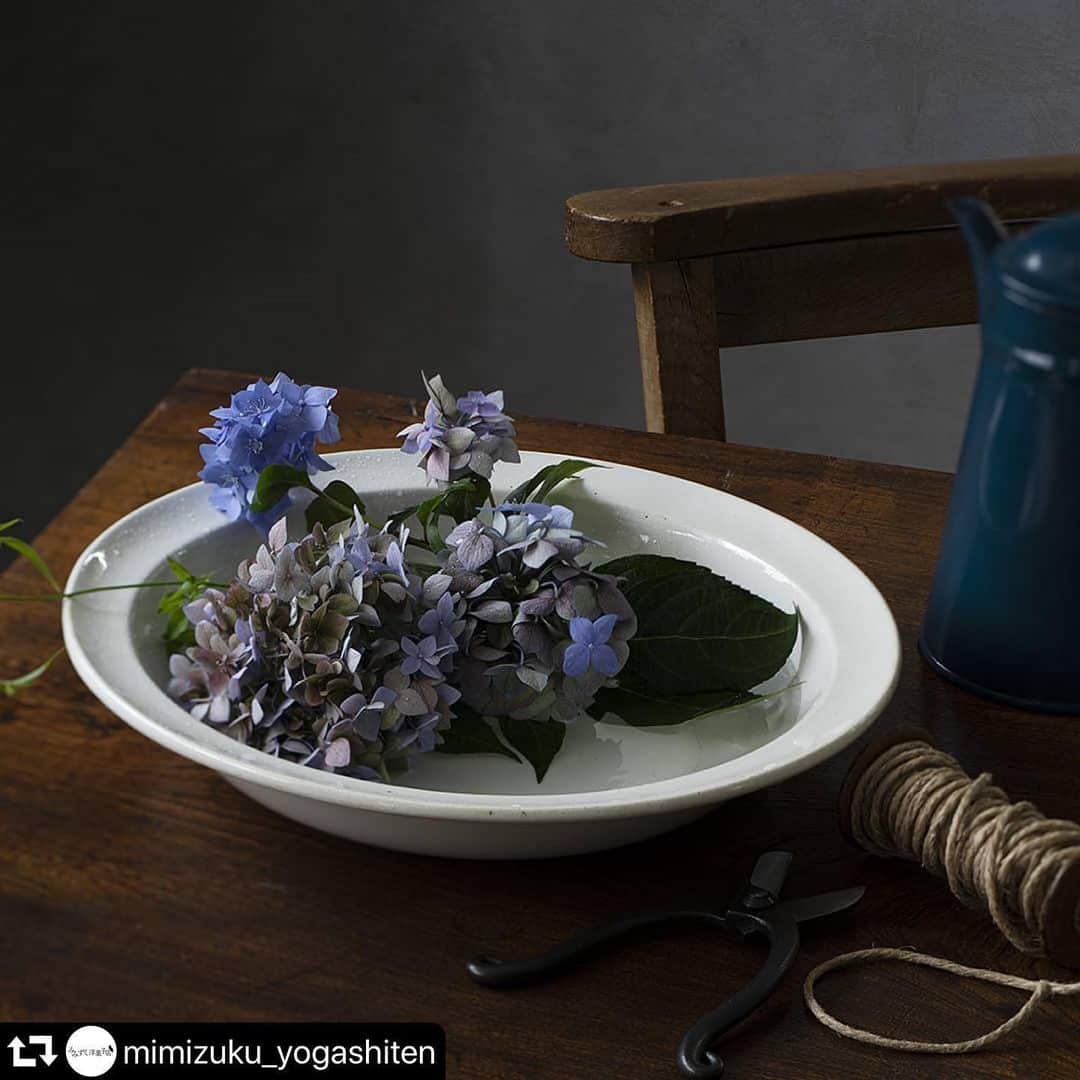 モロゾフ（公式）さんのインスタグラム写真 - (モロゾフ（公式）Instagram)「#repost @mimizuku_yogashiten ・・・ 【季節のおすすめミニコラム／水に浮かべる涼しげな紫陽花アレンジ】﻿ ﻿ ﻿ 雨に濡れるアジサイの美しい季節がやってきました。ふんわりとした花束はシンプルに一輪生けるだけでもすてきですが、水に浮かべるアレンジもおすすめです。﻿ ﻿ 陶器やガラスの鉢などのように口の広い器に水をたっぷり注ぎ、茎を短くカットした紫陽花を浮かべるだけなので、初心者にも簡単。涼を演出するため、水面が見えるように花の大きさを調整しましょう。周りに小さな花やグリーンなどを散らすと、よりナチュラルに仕上がります。﻿ ﻿ 自然光が差し込む窓辺などに飾って、きらきらと反射する水面と戯れるような花の姿をお楽しみください。﻿ ﻿ ﻿ ・・・・﻿ ﻿ ﻿ #みみずく洋菓子店 #暮らしのヒント #紫陽花 #あじさい #花 #花のある暮らし #梅雨 #自分時間 #おうち時間」6月11日 15時36分 - morozoff_sp