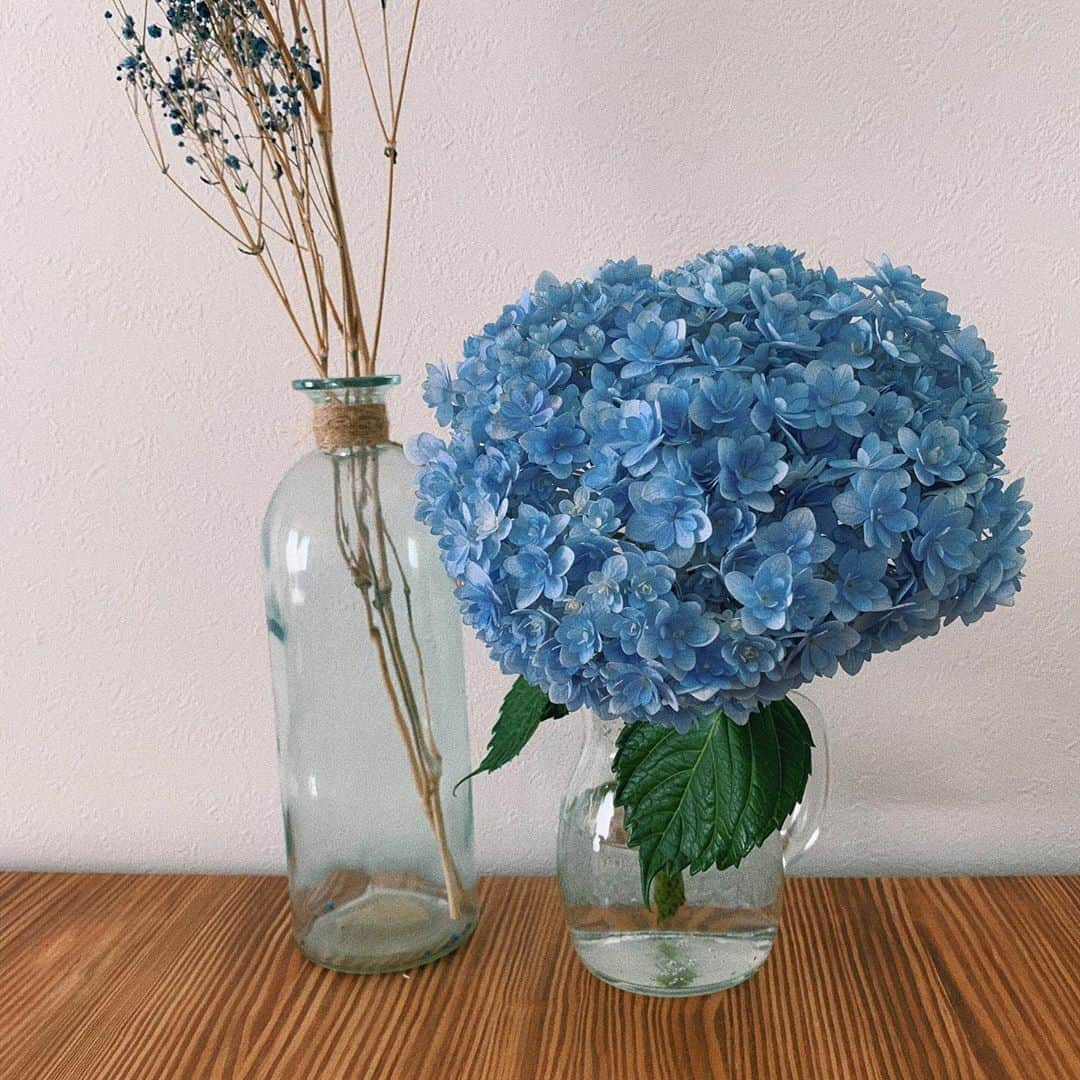 sayocoのインスタグラム：「外で紫陽花が綺麗に咲いてるから ダイニングにも💙☔️ ・ ピンクが好きなのに、気付いたら なぜかいつも青い花ばっかり買ってる🤔🌀 #どうゆう心理なの #紫陽花 #梅雨入りしたね」