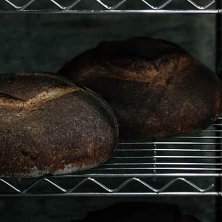 ヒラハルのグルメインスタ