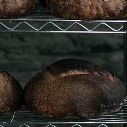 ヒラハルのグルメインスタ