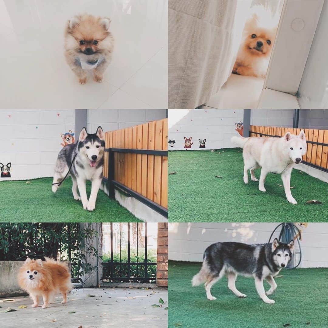 r_oseのインスタグラム：「Somewhere over the rainbow🌈☁️ I do really miss every single one of you, my loves🖤」