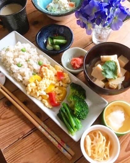 倉岡生夏のインスタグラム：「お野菜たっぷりlunch🥦 ・ ・ ・ もち麦とグリンピースの玄米ごはん パプリカ入り卵の中華炒め風 ほうれん草のお浸し 高野豆腐の具沢山味噌汁 野菜の白和え れんこんのきんぴら ・ ・  東京も梅雨入りのようですねぇ☔️ ポニーテール率が上がりそうです😂w ・ ・ ・ ・ ・ ・ #ヘルシーごはん  #デリスタグラマー #おうちごはん記録  #愛され料理 #クッキングラム #レシピ #おうちごはんlover  #おうちランチ  #delistagrammer  #washoku  #cookingram #lunch #高野豆腐 #玄米ごはん #れんこん #きんぴら #もち麦」