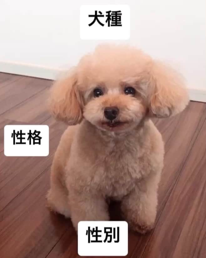 板野成美のインスタグラム：「🤎🤎🤎」