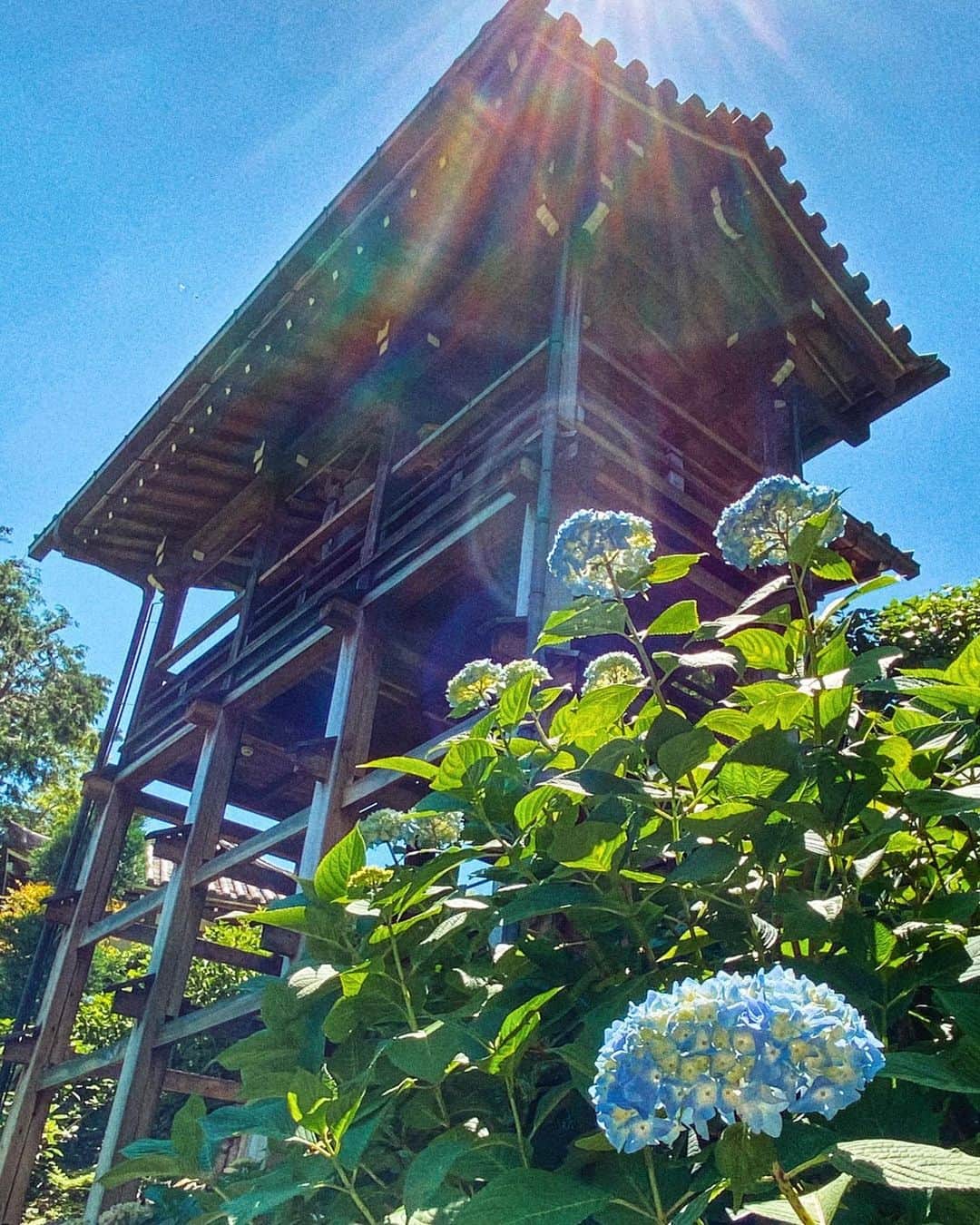 のインスタグラム：「京都市西京区#善峯寺 (スライドして下さい) Location Kyoto Japan (Swipe)  2020.6.7  楊谷寺と善峯寺、近いので梯子しました🚗💨こちらもまだ3〜4分咲きといったところでしたが咲き始めた紫陽花は綺麗でした💠💠💜。 #神社仏閣　 #寺院仏閣　 #美しい日本　 #日本庭園  #日本に京都があってよかった  #zekkei_delic_j  #そうだ京都行こう　 #こころから  #タビジェニ　 #日本ツアーズ　 #japan_daytime_view  #japan_bestpic_  #top_favorite_shots  #japan_vacations  #rakutentravel  #inspring_shot #beautiful_kansai #nippon_lovers  #japanesetemple  #japanesegarden  #lovers_united_japan  #jalan_travel  #joytb」