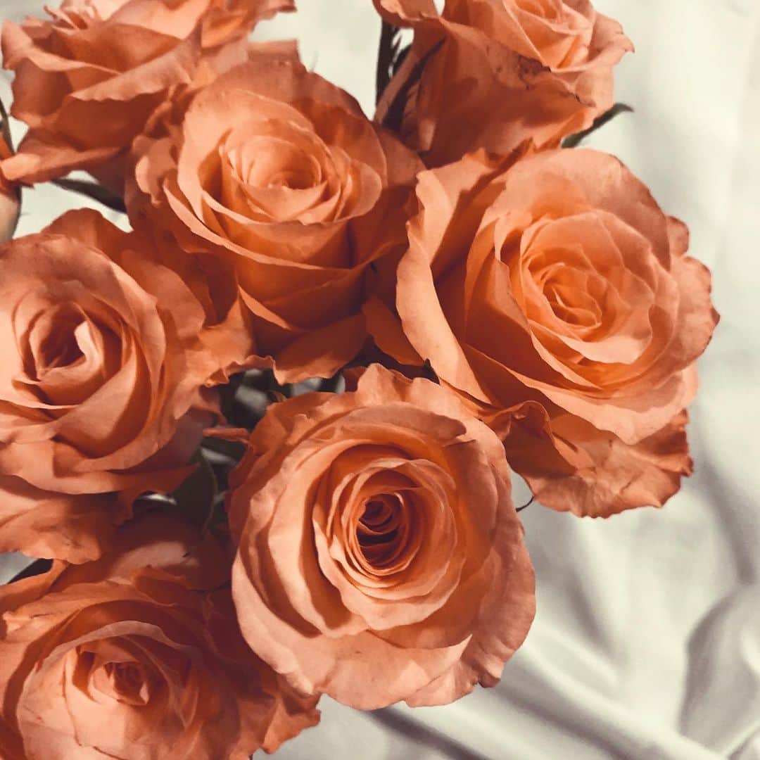 のインスタグラム：「本格的な梅雨入りを感じた今日✨✨ ・ 一日、しとしとざあざあ、雨音が気持ち良い😊☔️ ・ 野に咲く花はーきれいだなー💖🚶‍♀️♬ と、よく野の花をお家に飾っているけれど、 可愛い薔薇が売っていた(しかも八百屋さんで！)ので、ついつい✨🌹 ・ きれいだな〜☺️🌹✨✨ ・ ・ #薔薇の花 #ローズの香り #アナハタチャクラ #アナハタが喜ぶこと #香りが好き #田舎暮らし#ナチュラルライフスタイル #お花がある暮らし #ピンクいろ」