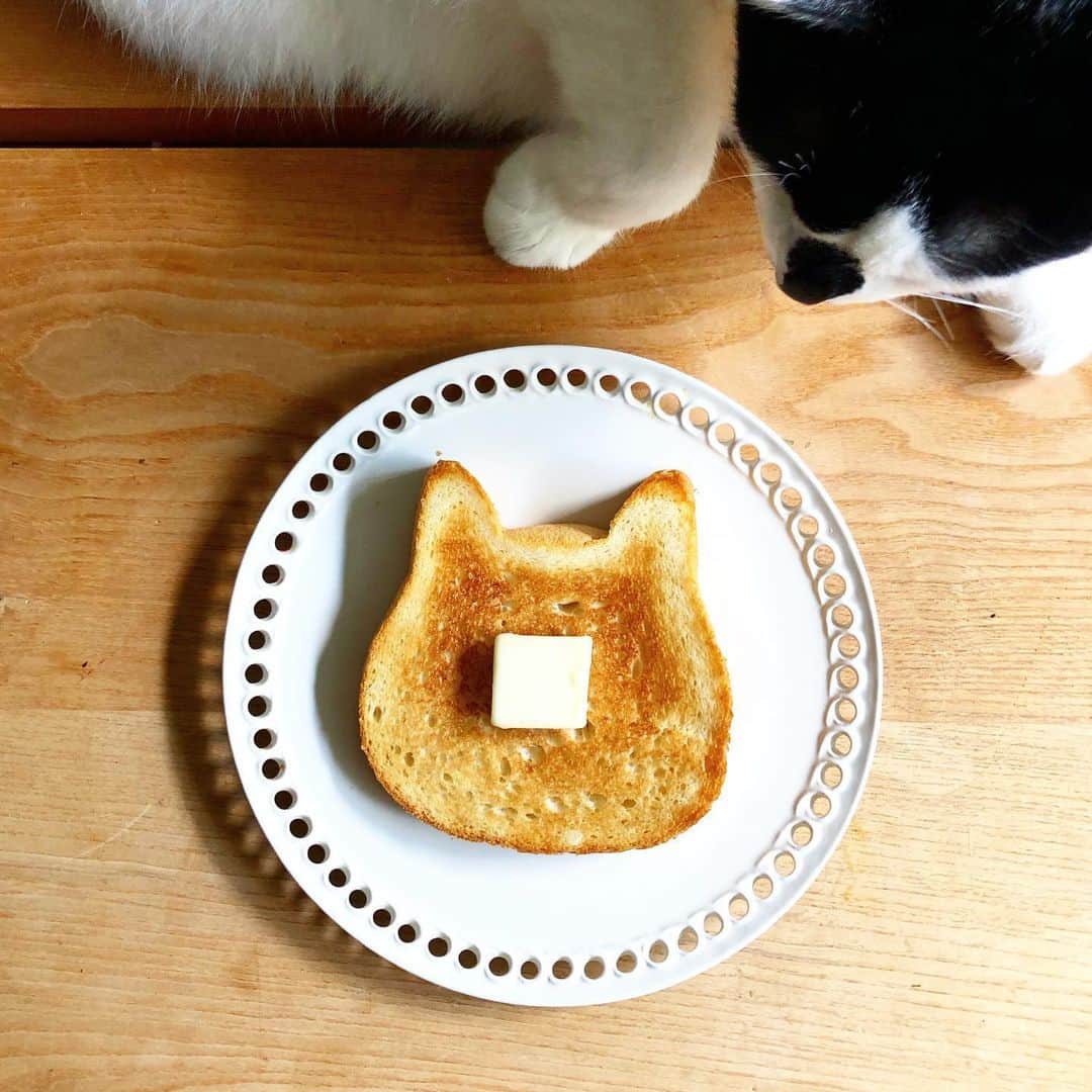 のインスタグラム：「やっと会えたね🍞☺️ #ねこねこ食パン #カルピスバター  #れぇこともへじ」