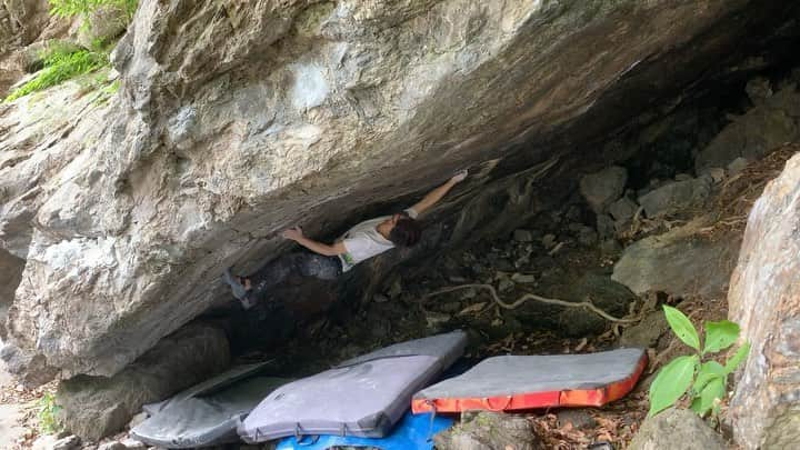 野村真一郎のインスタグラム：「I can finally come back to the boulder outside. やっと岩に戻ってこれました。 雨で昼までしか登れなかったけど、充実した時間でした！ 自粛中は色んな思いがあったけど、とにかく人生をかけてでも続けていきたいと思った事はこれからも頑張ろうと思います。 自粛期間に立てた目標が山ほどあるけど、遠征が出来るようになったらまずは瑞牆に行きたい！ ・ ・ @monturajapan @montura_official @unparallelup @rockmasterhq @hamasakichiryoin0929」