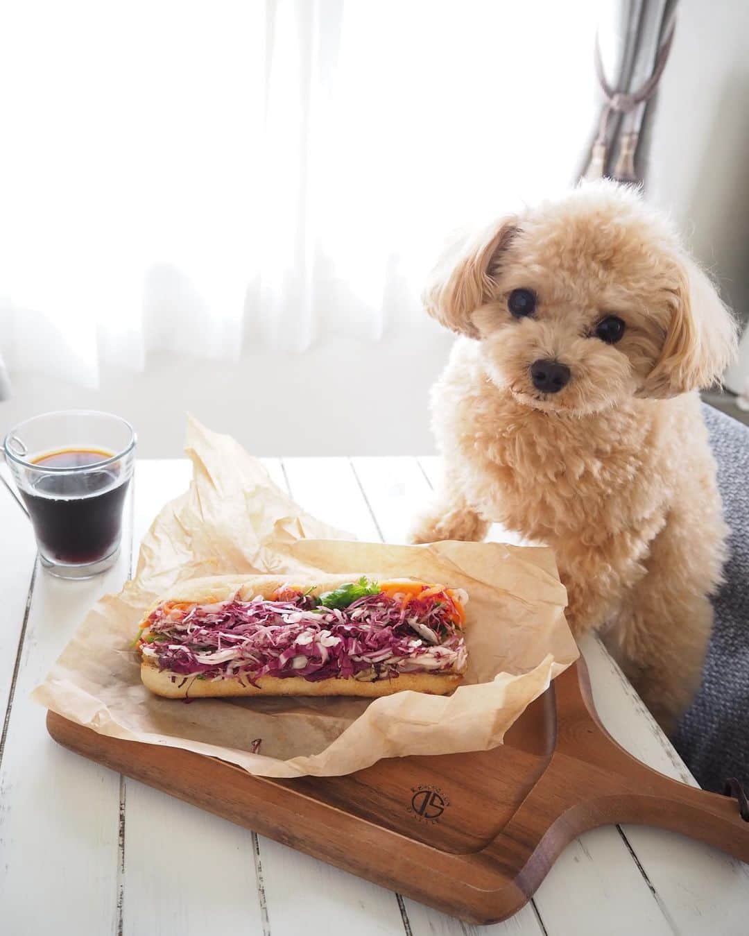 くるみたんのグルメインスタ