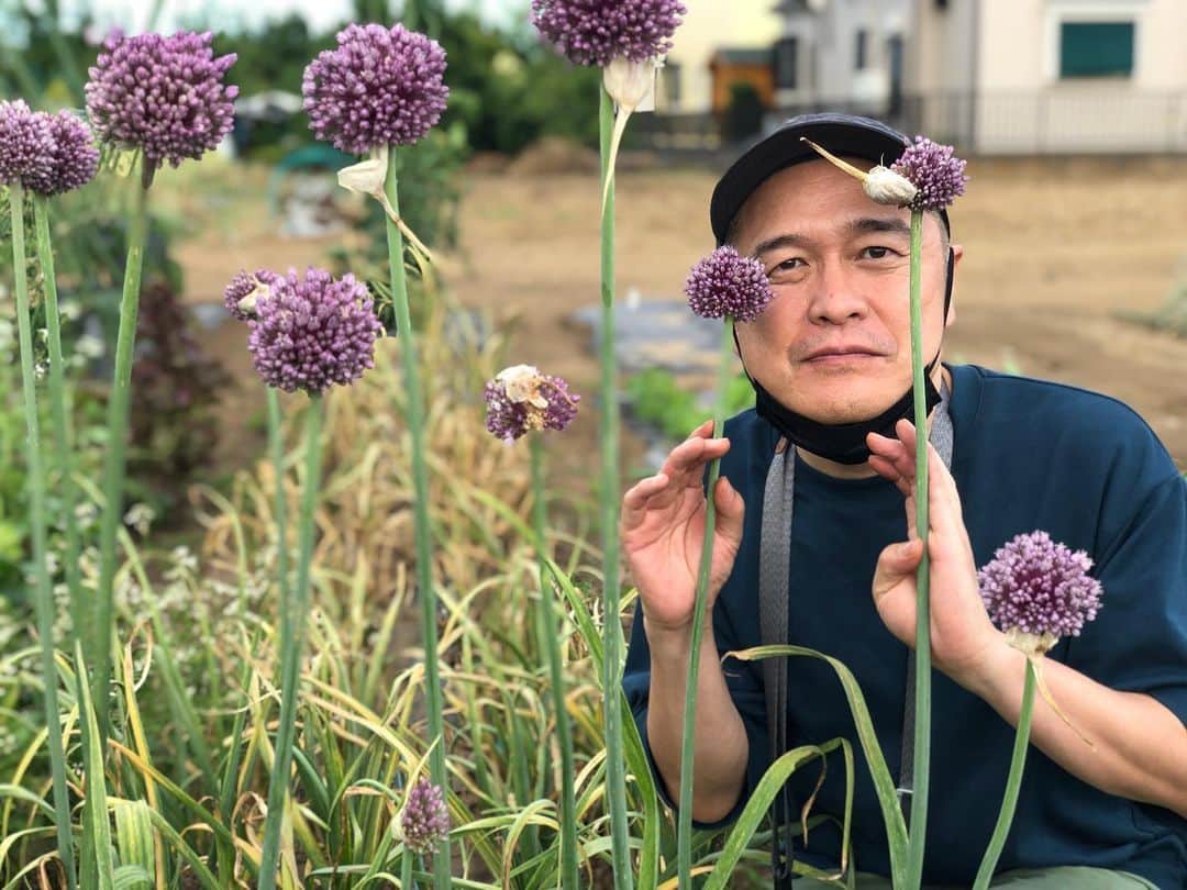 川辺ヒロシさんのインスタグラム写真 - (川辺ヒロシInstagram)「妻農園。ニンニクの花？芽？とれたて生のにんにくフレッシュ #garlic」6月11日 20時08分 - firoshi1