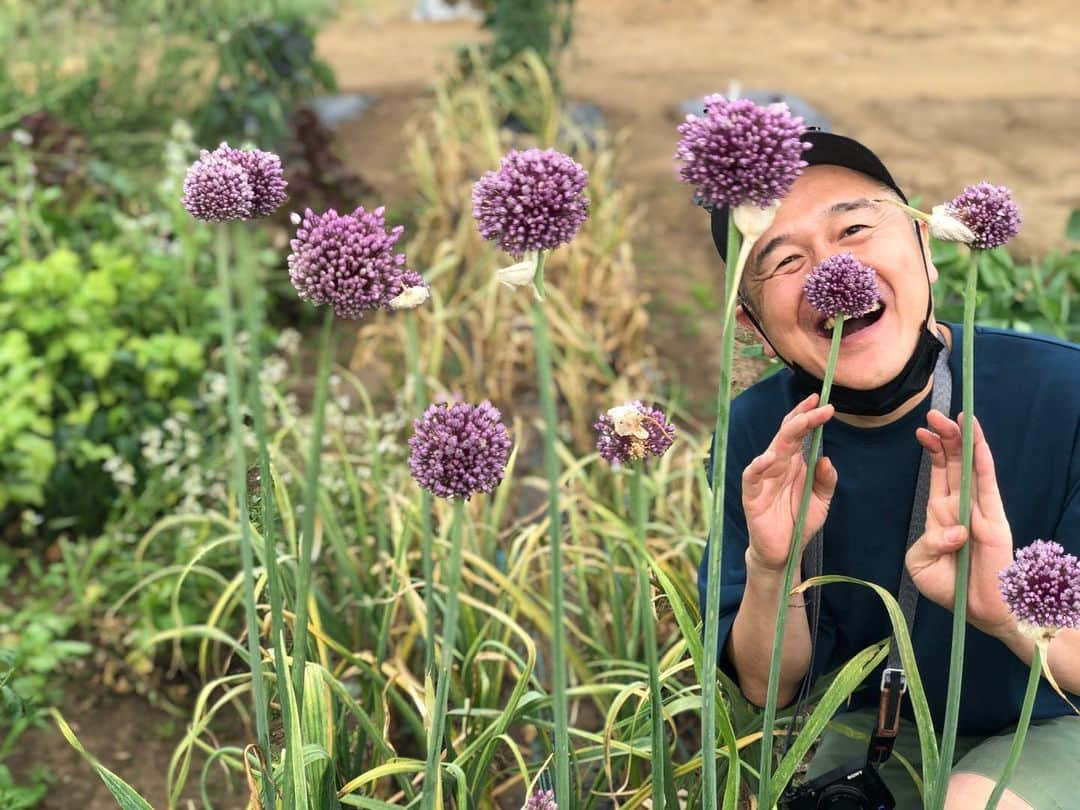 川辺ヒロシさんのインスタグラム写真 - (川辺ヒロシInstagram)「妻農園。ニンニクの花？芽？とれたて生のにんにくフレッシュ #garlic」6月11日 20時08分 - firoshi1