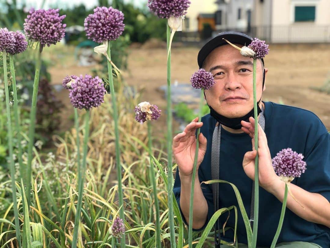 川辺ヒロシのインスタグラム：「妻農園。ニンニクの花？芽？とれたて生のにんにくフレッシュ #garlic」