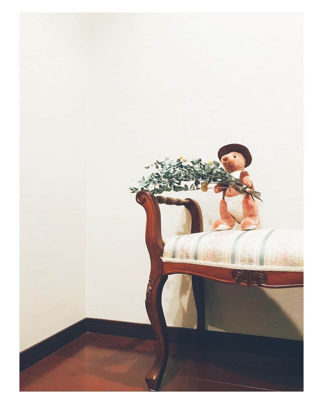 遠海まりこさんのインスタグラム写真 - (遠海まりこInstagram)「オーストラリアの友達から﻿ お土産で貰ったカンガルー🦘のぬいぐるみ🦘﻿ ﻿ ﻿ ﻿ よく見るとお腹にカンガルーの赤ちゃんも❣️﻿ ﻿ ﻿ ﻿ ユーカリとクラスペディアと一緒に。﻿ ﻿ ﻿ ﻿ ﻿ ﻿ #australia #friends #eucalyptus #craspedia #kangaroo #babykangaroo #flowers #plants﻿ #furniture #友達 #カンガルー #ぬいぐるみ #ユーカリ ﻿ #クラスペディア #家具」6月11日 20時39分 - marikotohmi99