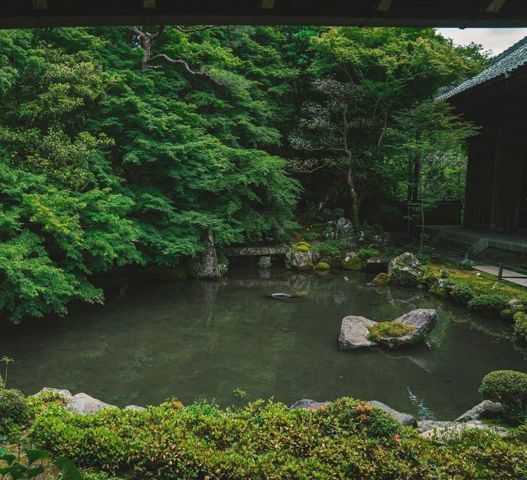 山口淳一さんのインスタグラム写真 - (山口淳一Instagram)「梅雨 2020。 天パにとっては辛い季節到来。 — #japan #kyoto #green #nature #silence #日本 #京都 #緑 #自然」6月11日 20時51分 - junichi_yamaguchi
