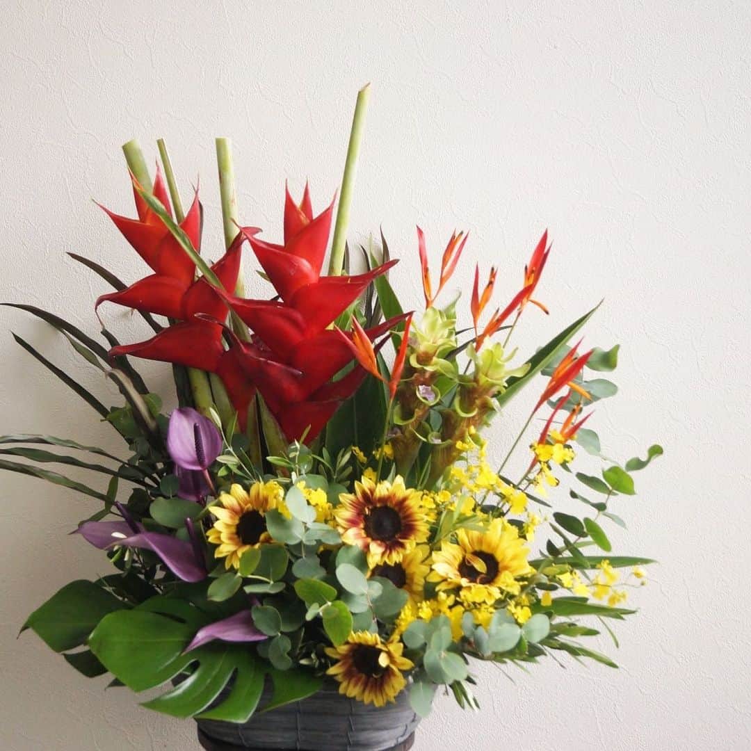 MILLE ECLAT.のグルメインスタ