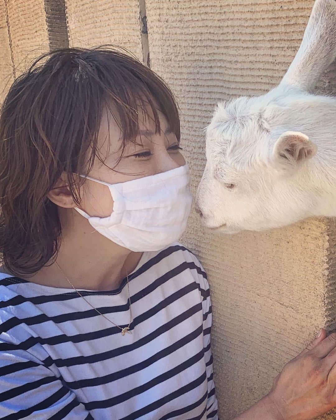 風間ゆみえのインスタグラム：「梅雨入り前の真夏日とヤギさん」