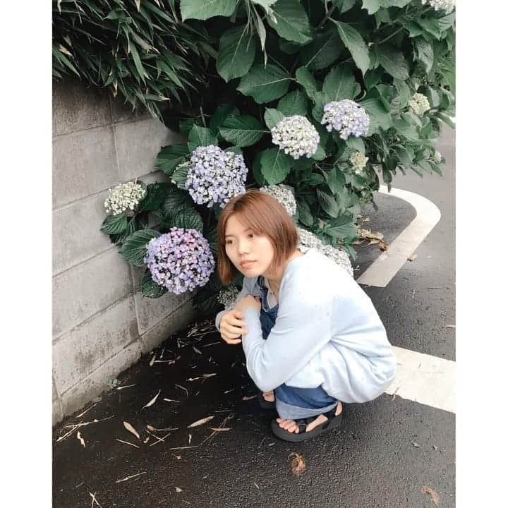 近藤笑菜さんのインスタグラム写真 - (近藤笑菜Instagram)「6月さんぽ。梅雨💠 そめちゃんと📸 . 淡い色のまるっこい紫陽花がかわいくて、調べたらポップコーンという名前！そのまんま！なんてらぶり～～♡ 友達とカフェでお茶とかご飯とか行きたいけど、人が多い街やお店に行くとドキドキしてしまう…外への免疫が…笑 おさんぽis平和🐕 でも久しぶりに行った映画館はやっぱり大好きで、しばらくは人の少ない時間帯を狙うという密かな計画を。無理はせず、好きなものも手放さないという欲張り根性。笑 人生一度きり！自分の幸せ、自分で作ってゆきましょ🌻」6月11日 23時16分 - emina_kondo