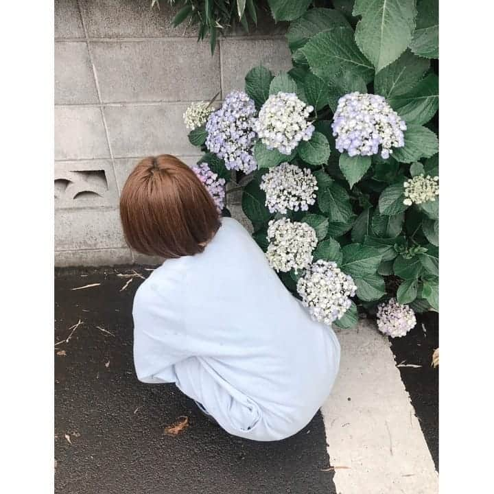 近藤笑菜さんのインスタグラム写真 - (近藤笑菜Instagram)「6月さんぽ。梅雨💠 そめちゃんと📸 . 淡い色のまるっこい紫陽花がかわいくて、調べたらポップコーンという名前！そのまんま！なんてらぶり～～♡ 友達とカフェでお茶とかご飯とか行きたいけど、人が多い街やお店に行くとドキドキしてしまう…外への免疫が…笑 おさんぽis平和🐕 でも久しぶりに行った映画館はやっぱり大好きで、しばらくは人の少ない時間帯を狙うという密かな計画を。無理はせず、好きなものも手放さないという欲張り根性。笑 人生一度きり！自分の幸せ、自分で作ってゆきましょ🌻」6月11日 23時16分 - emina_kondo