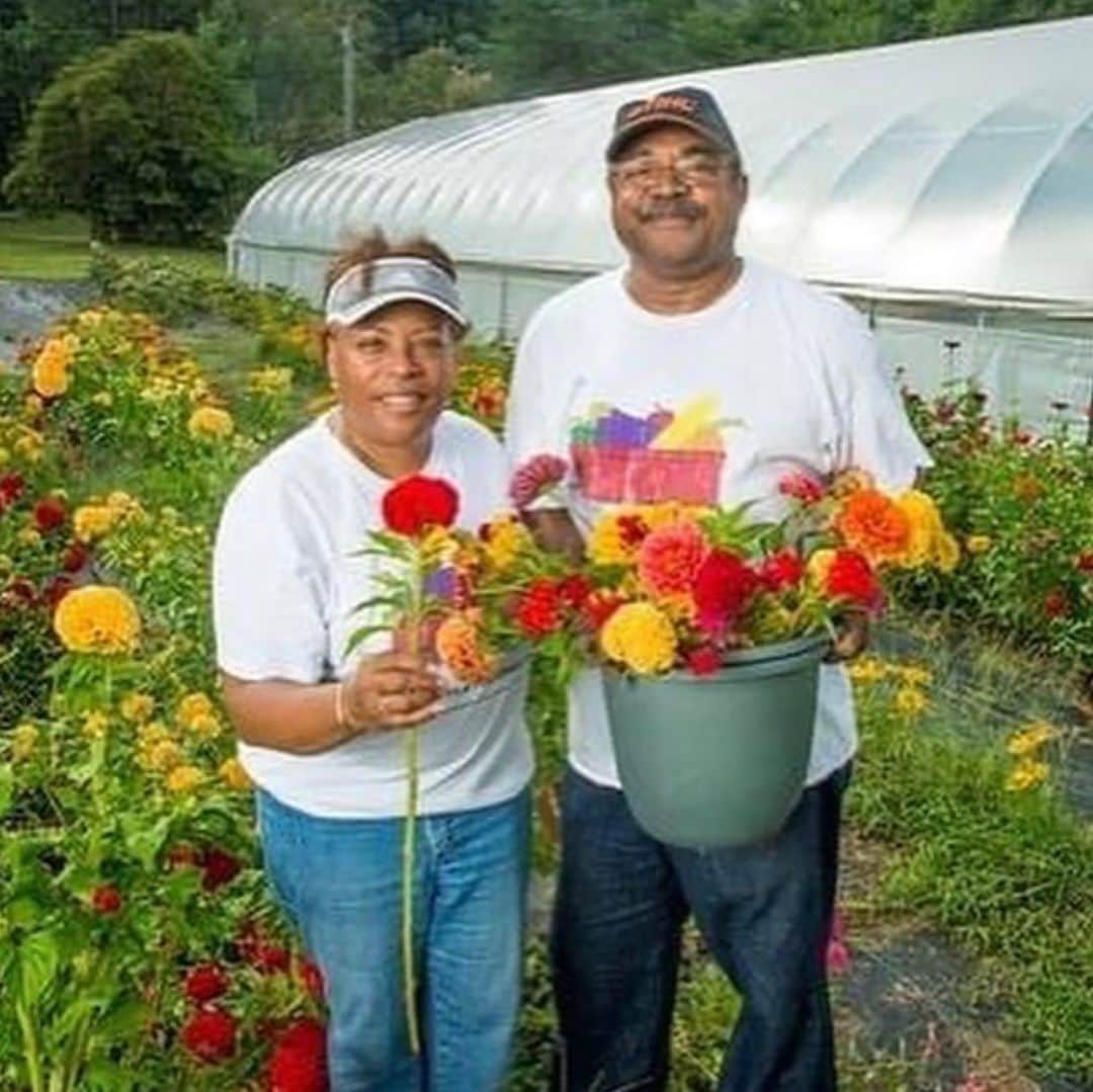 デュア・リパさんのインスタグラム写真 - (デュア・リパInstagram)「Black churches are the largest body of Black-owned land in America. The Black Church Food Security Network @blackchurchfsn runs a brilliant programme to give Black farmers access to church-owned land so that they can establish gardens and farmers markets, providing healthy and affordable food for their own communities. Swipe up on my story to see how you can invest and PLANT A SEED 🌱」6月11日 23時23分 - dualipa