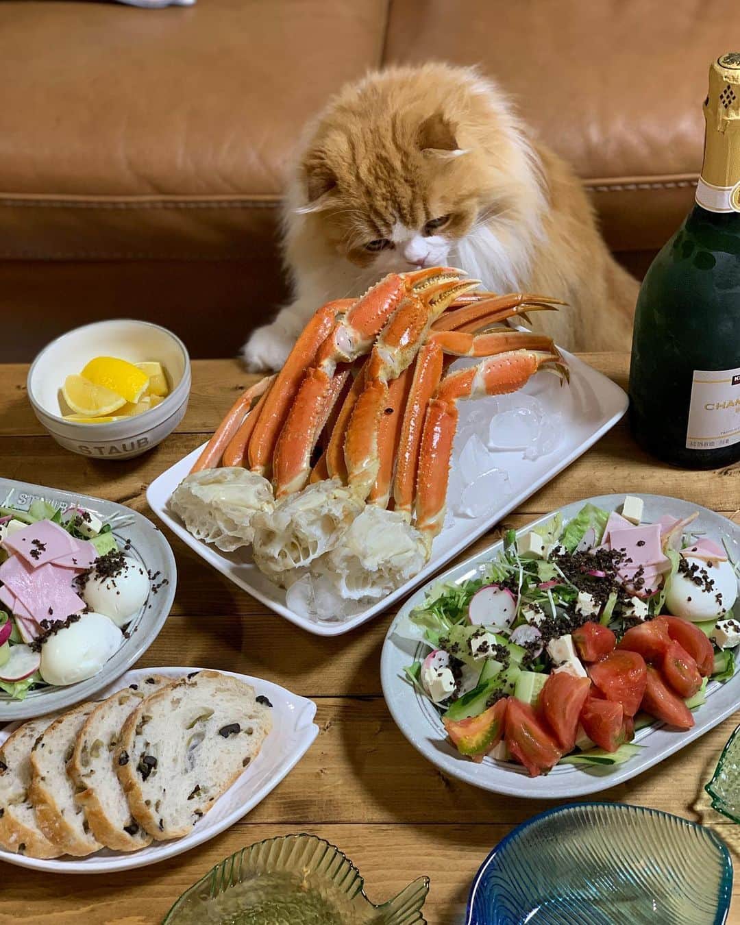 yayoi89のインスタグラム