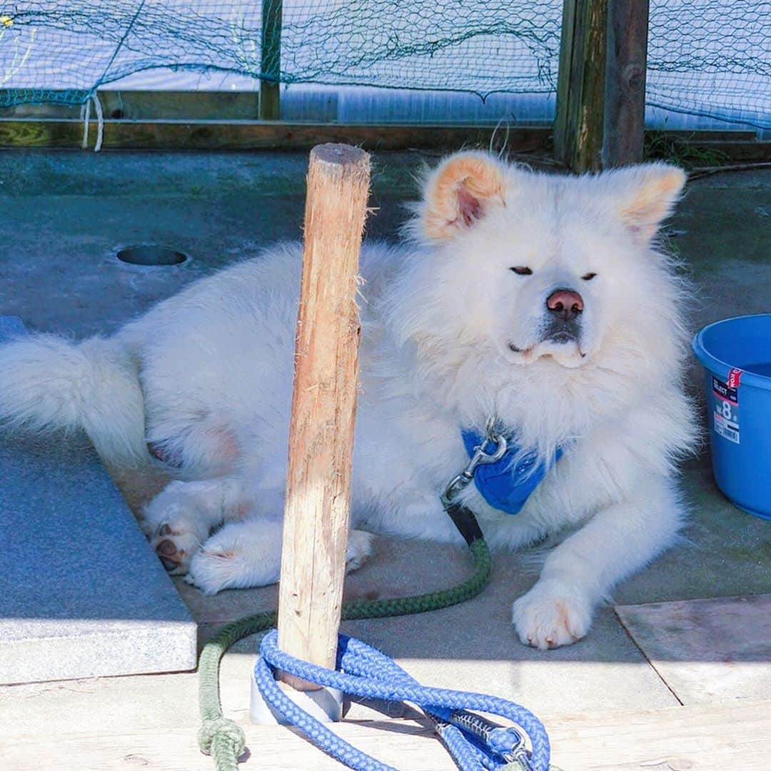 西村いちかのグルメインスタ