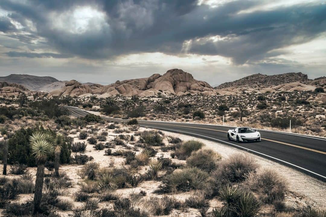 McLaren Automotiveさんのインスタグラム写真 - (McLaren AutomotiveInstagram)「The McLaren 600LT isn’t just about incredible straight line performance. This is a car that can go from 124mph to a standstill in just 117m, that’s just 1m more than a McLaren P1™.」6月12日 1時04分 - mclarenauto