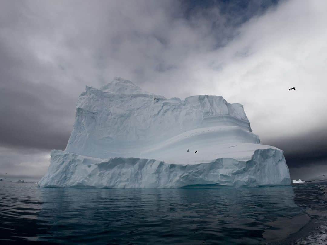 National Geographic Travelさんのインスタグラム写真 - (National Geographic TravelInstagram)「Photo by Michaela Skovranova @mishkusk // Sponsored by @OPPO // Antarctica is known for spectacular birdlife. Often birds are dwarfed by icebergs, such as this one floating in the Palmer Archipelago, also known as the Antarctic Archipelago. It is during moments like this when we can gauge just how incredibly large these icebergs are. Icebergs are larger than five meters (16 feet) and they can vary in size—sometimes up to the size of a small country, with much of the ice hidden under the surface of the sea. It is estimated that the time from the very first snowflake to a glacier disintegrating can be around 3,000 years. // Uncover the ultimate camera with the OPPO #FindX2Pro and its Ultra Vision Camera System.」6月12日 1時17分 - natgeotravel