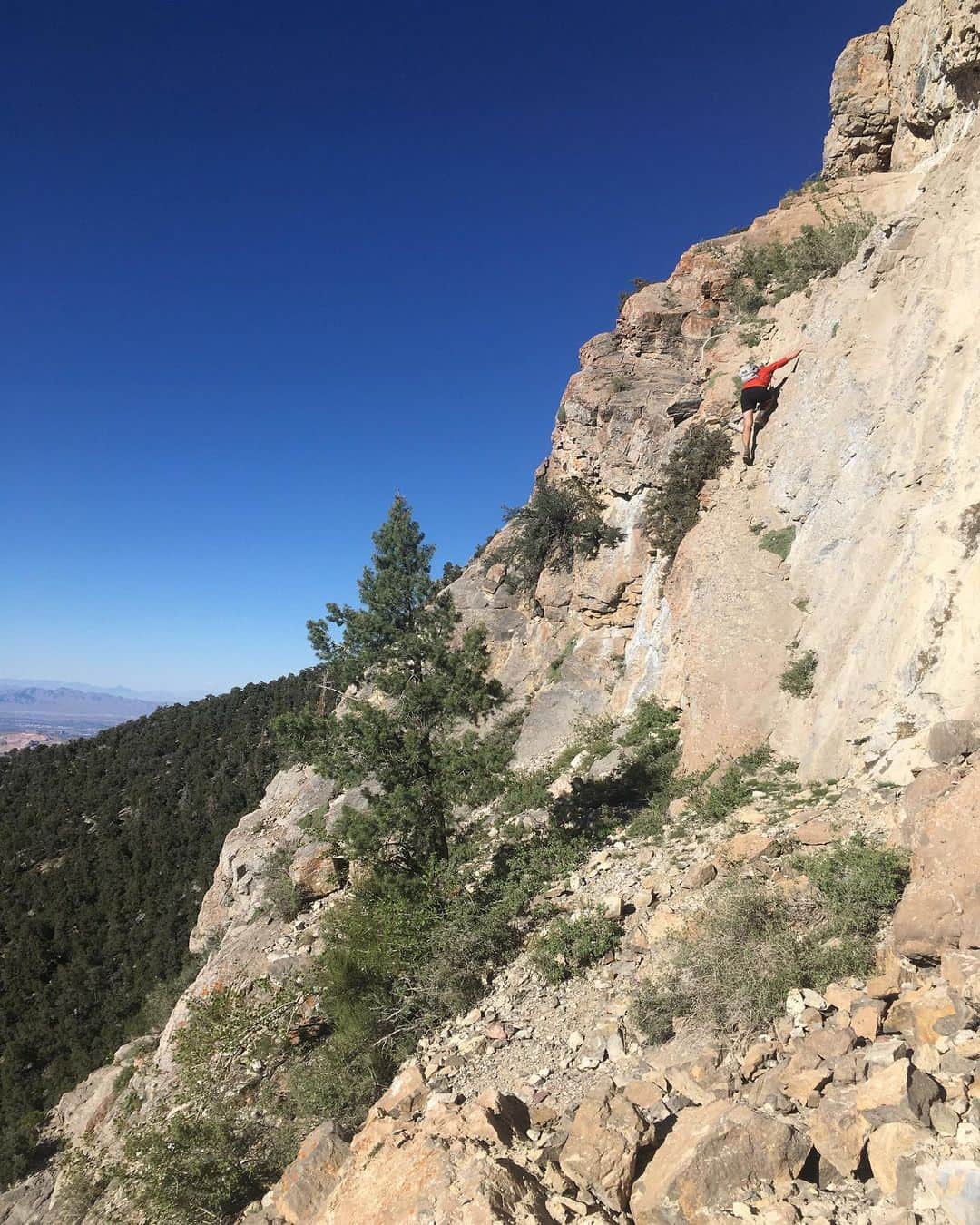 アレックス・オノルドさんのインスタグラム写真 - (アレックス・オノルドInstagram)「On Monday I ventured out on another bike/hike adventure - this time Mt Charleston and Mt Potosi in a day. It was an unseasonably cold day (which was great) but that meant raging winds and challenging conditions. I left my house at 11pm and spent 21 hours out riding/hiking (managed to mostly avoid traffic!). Approximately 120mi on the bike, 25mi hiking, and 17k ft of vertical total.  My friend Benny helped support on Potosi - he paced me on the bike and scrambled up the north ridge of the mountain with me. I listened to 5 podcasts while I biked through the night about the protests sweeping the country and then chatted with Benny about it all for hours. A long day in the mountains is probably my favorite way to organize my thoughts. I’m very encouraged that demonstrators are already seeing some results and that we as a country are having real conversations about how to build a more equitable society.  My 2 cents - I think “defund the police” has a bad ring to it since people hear it as “disband the police” and obviously society needs some kind of referee to uphold the rules. But both my parents are teachers and I’ve spent my whole life experiencing how we “defund education” - I’d rather support education and social services over law enforcement... At the very least society should be considering what our values are and how to live by them - re-examining our justice system is a good place to start. And while I’m ranting about justice - I think it’s shameful to disenfranchise felons. Taking away someone’s right to vote is a sure way to make them care even less about society. I think everyone should have a say in how our country is run... Lots of random thoughts from a long day out...」6月12日 1時30分 - alexhonnold