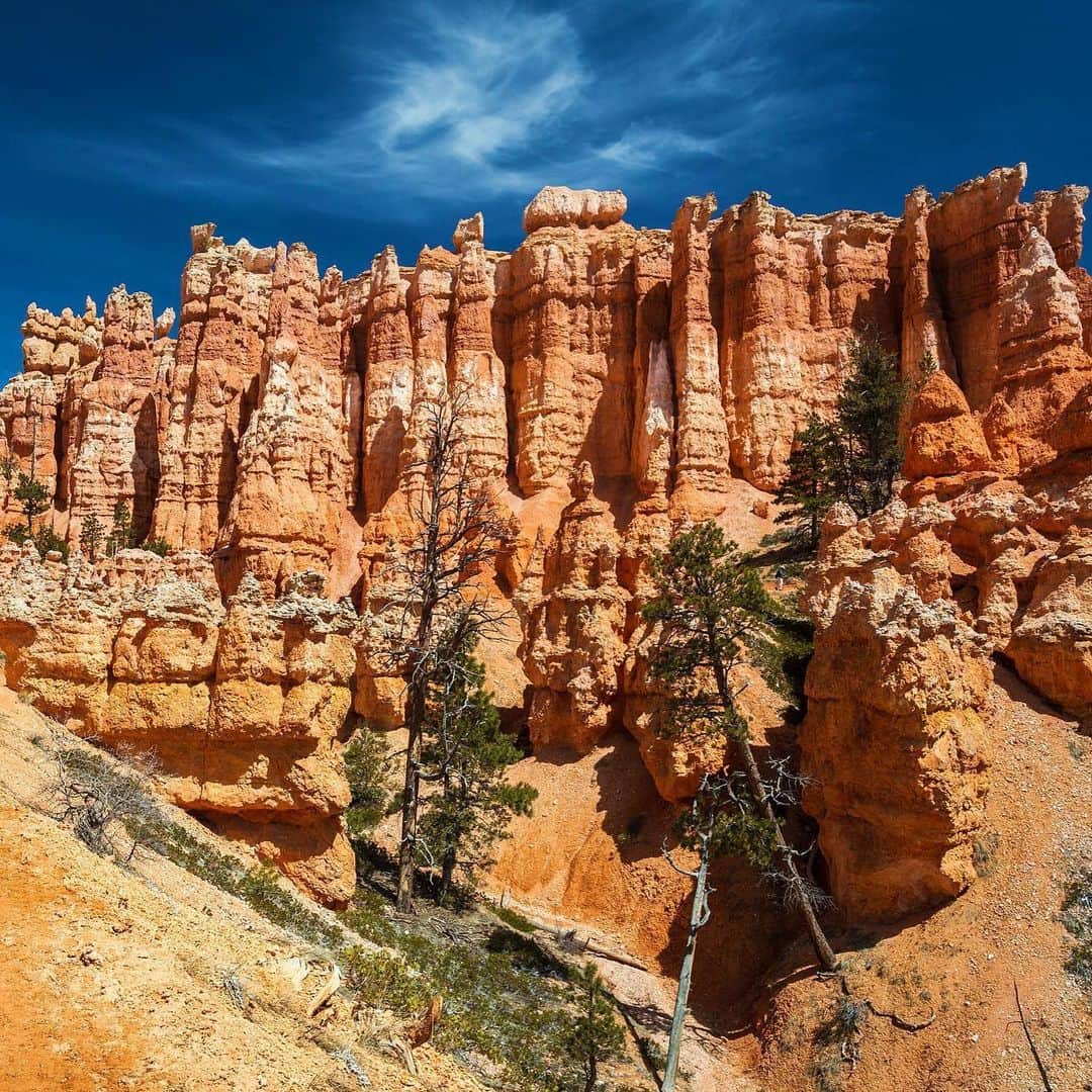 Lonely Planetさんのインスタグラム写真 - (Lonely PlanetInstagram)「The national parks in the USA are slowly starting to reopen. If you are wondering which ones you should add to your list this year let us help. Zion National Park and Bryce Canyon National Park are two of America’s most popular national parks and we've pitted them head to head. Tap the link in our bio to find out which is better. * * Image 1 Zion National Park  Image 2 Bryce Canyon National Park」6月12日 1時57分 - lonelyplanet