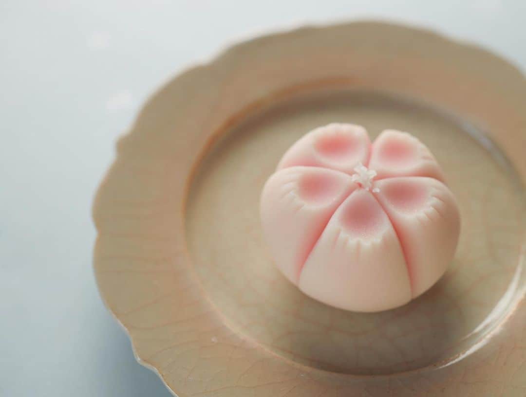 Toru Tsuchieのグルメインスタ