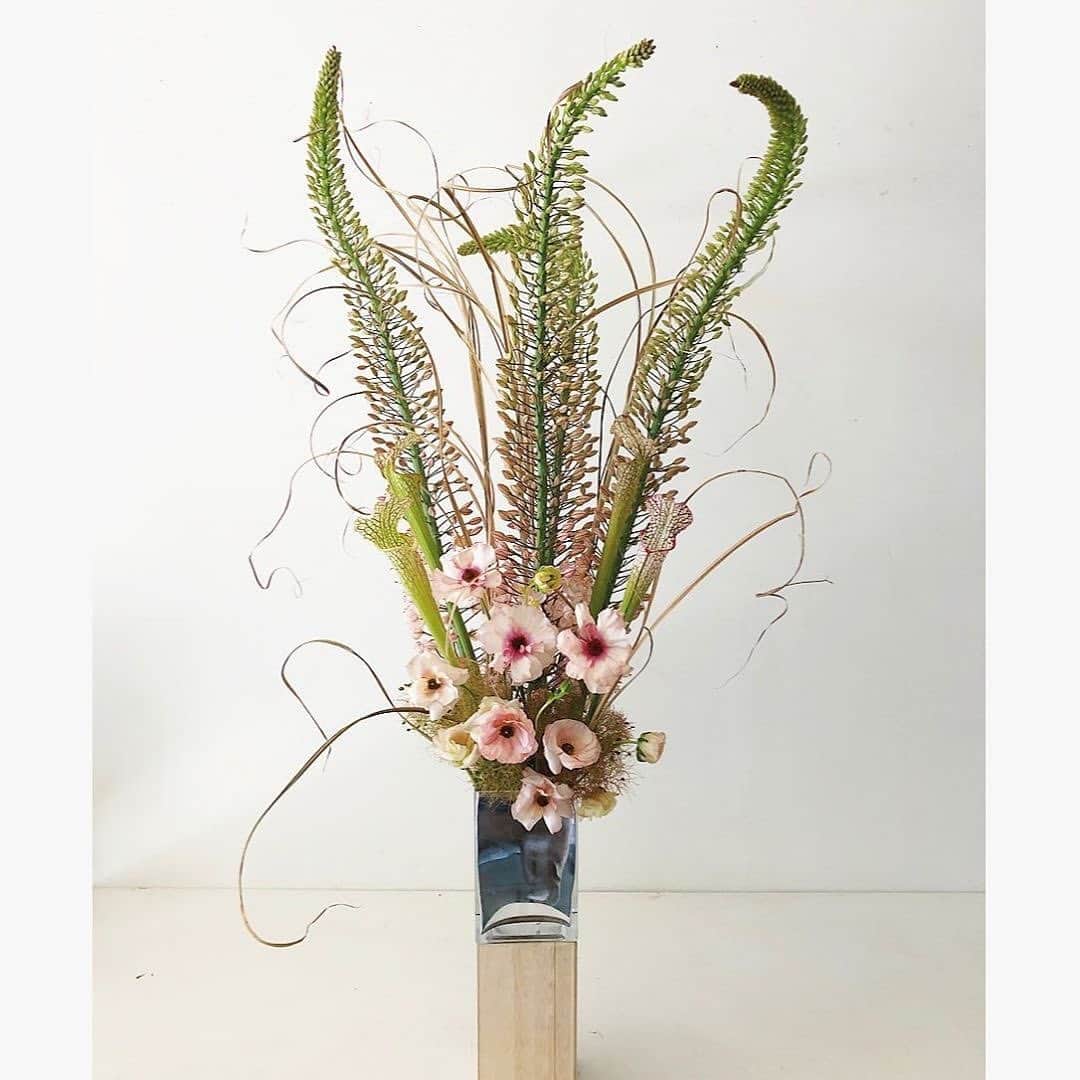 サキャスティックのインスタグラム：「@shedesignsla floral arrangements」