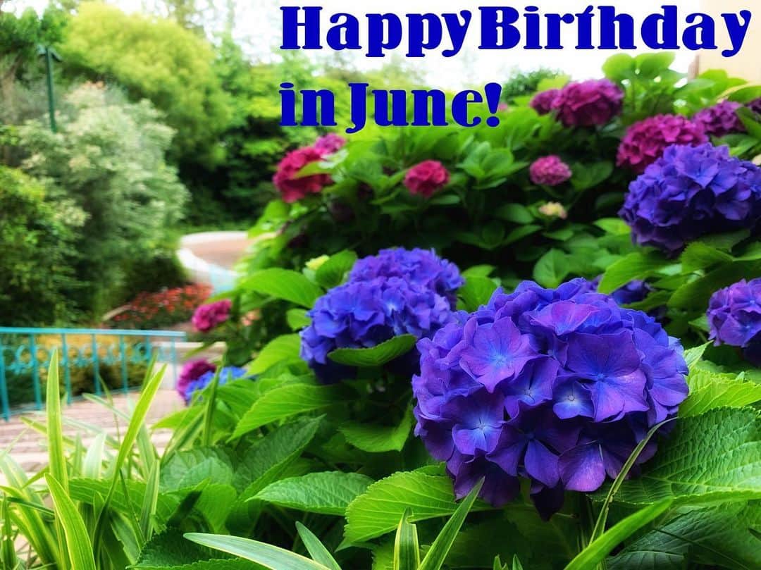 IKSPIARI イクスピアリ公式さんのインスタグラム写真 - (IKSPIARI イクスピアリ公式Instagram)「Happy Birthday in June!!! 6月生まれの皆さまお誕生日おめでとうございます🎉 紫陽花の咲く季節になりました☂️夏の足音が少しづつ近づいてきます♪ * * #IKSPIARI #ikspiari #いくすぴあり#イクスピアリ #6月生まれ #6月 #june #誕生日 #誕生日おめでとう #happybirthday #紫陽花 #あじさい #hydrangea #梅雨 #夏の始まり #ガーデンサイト #オリーブと噴水の広場 #いつもの向こうへ」6月12日 17時05分 - ikspiari_official